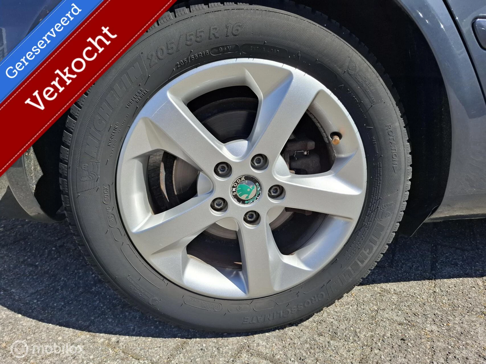 Hoofdafbeelding Škoda Octavia