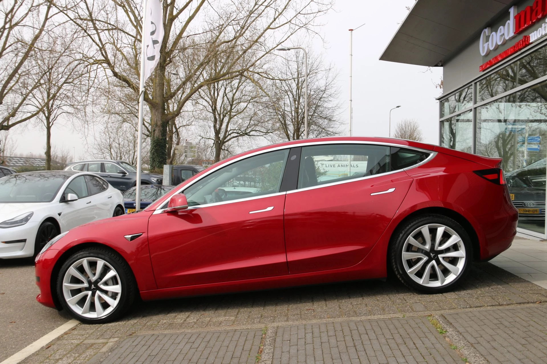 Hoofdafbeelding Tesla Model 3