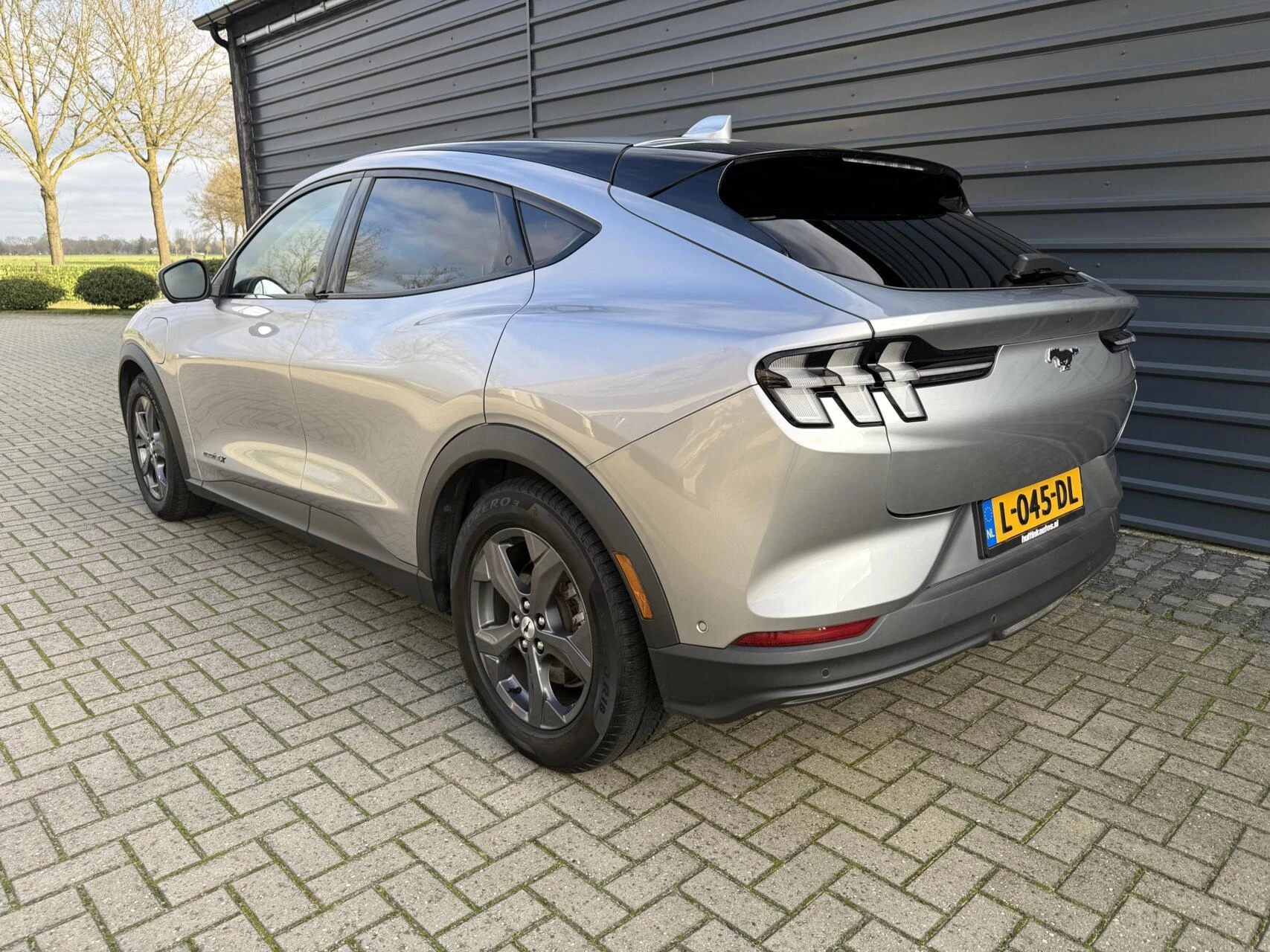 Hoofdafbeelding Ford Mustang Mach-E