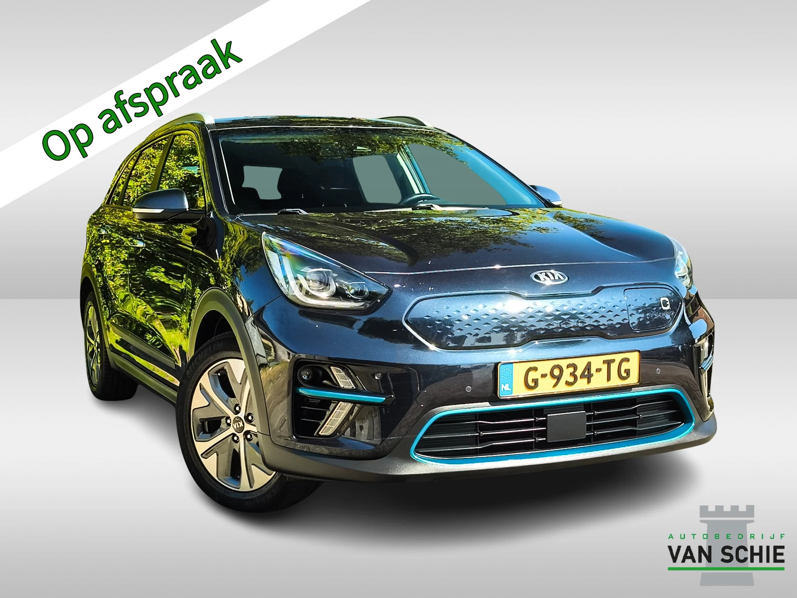 Hoofdafbeelding Kia e-Niro