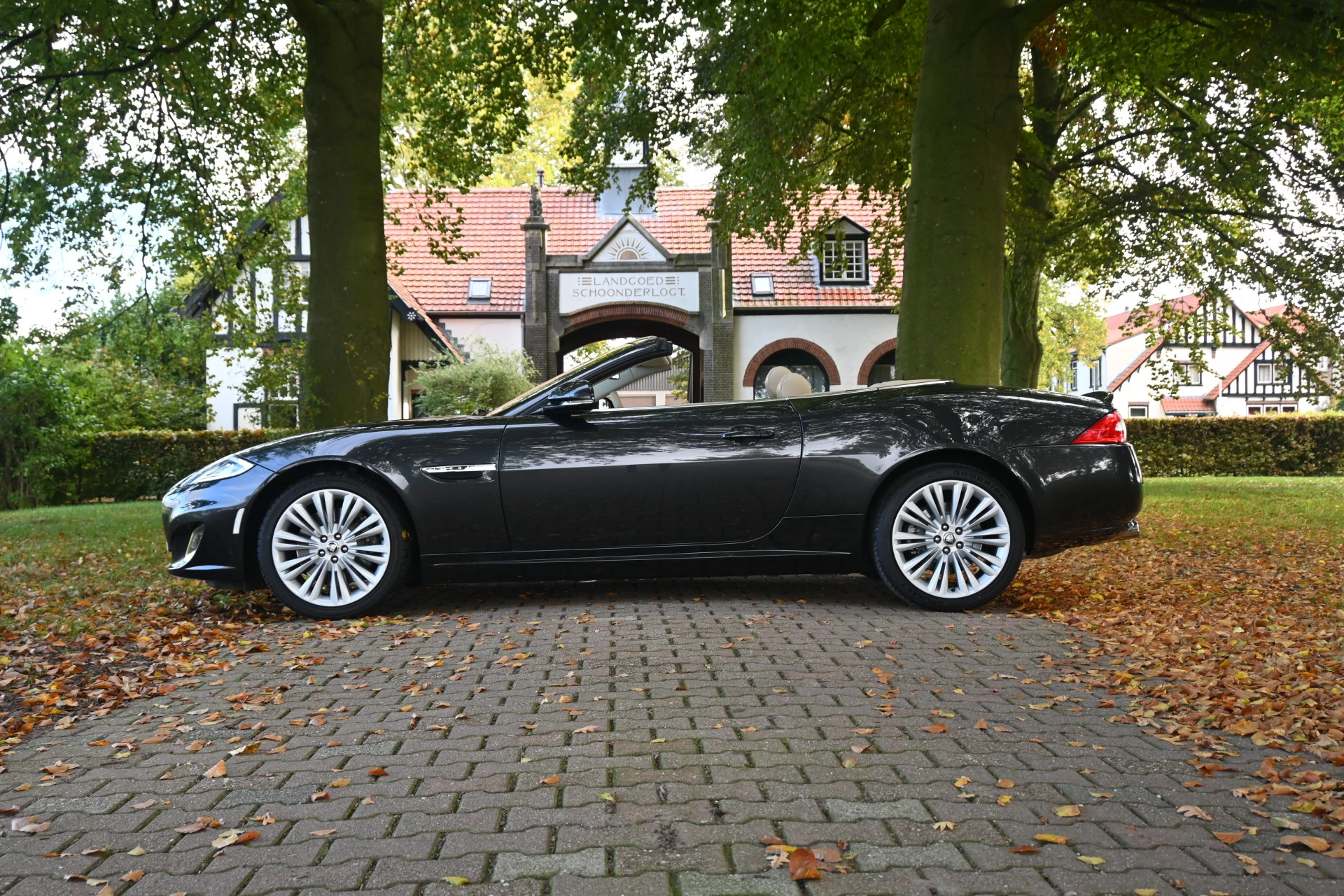 Hoofdafbeelding Jaguar XK