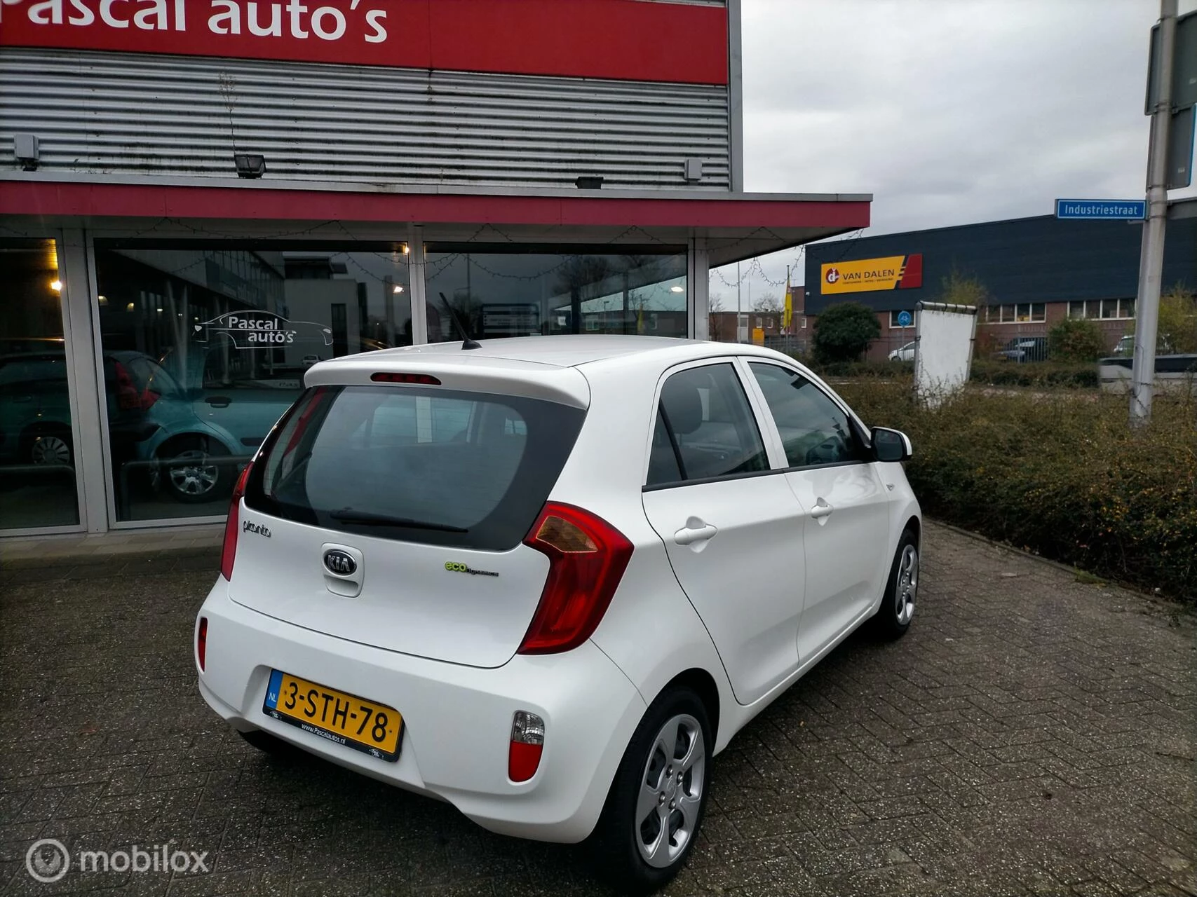 Hoofdafbeelding Kia Picanto