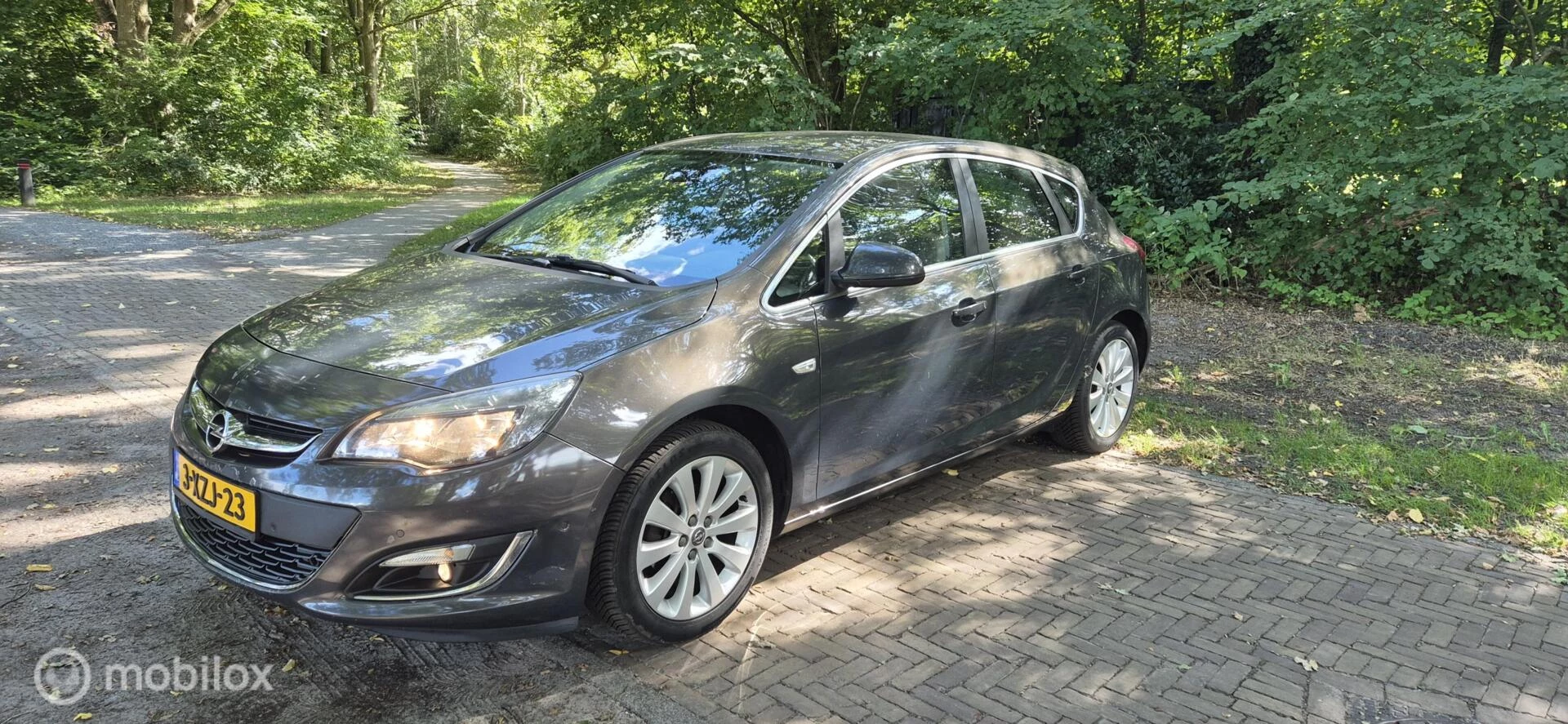 Hoofdafbeelding Opel Astra
