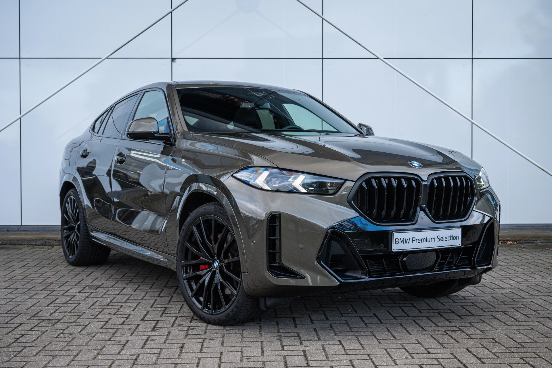 Hoofdafbeelding BMW X6