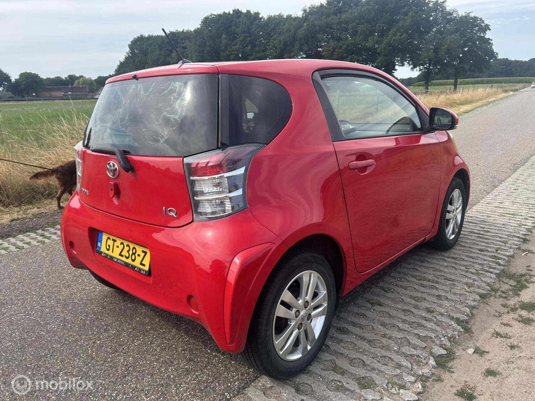 Hoofdafbeelding Toyota iQ