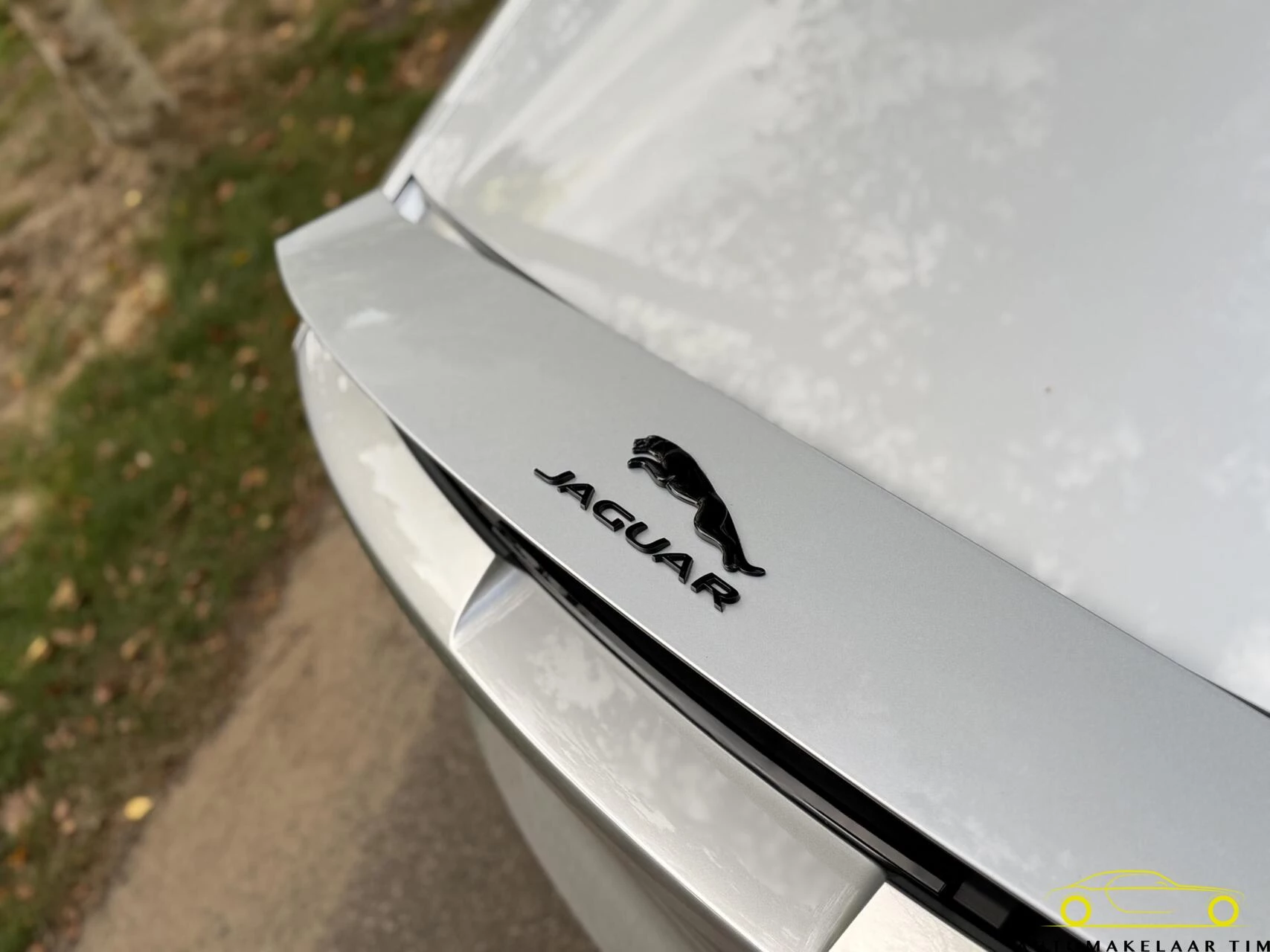 Hoofdafbeelding Jaguar F-Type