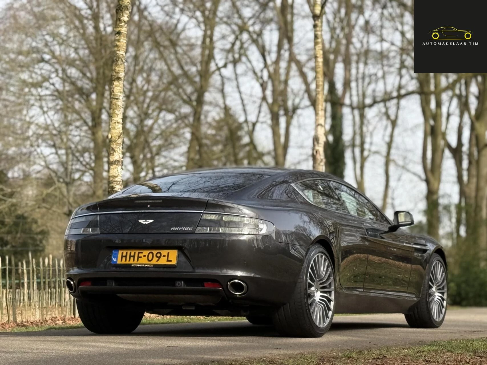 Hoofdafbeelding Aston Martin Rapide