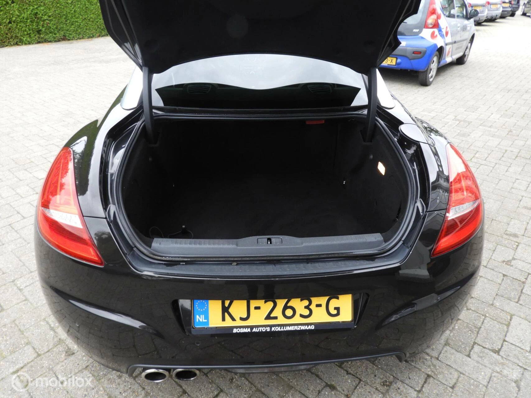 Hoofdafbeelding Peugeot RCZ