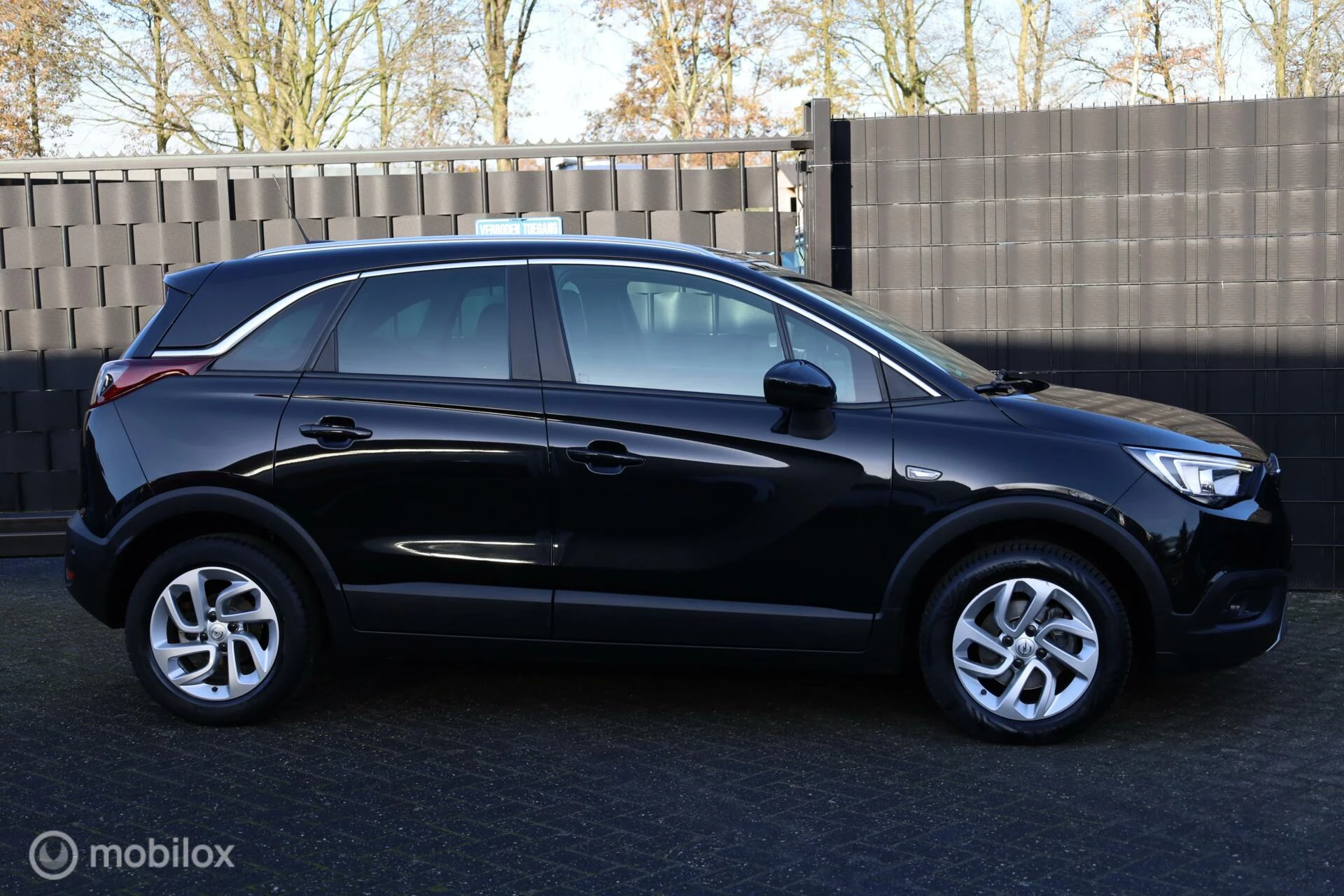 Hoofdafbeelding Opel Crossland X