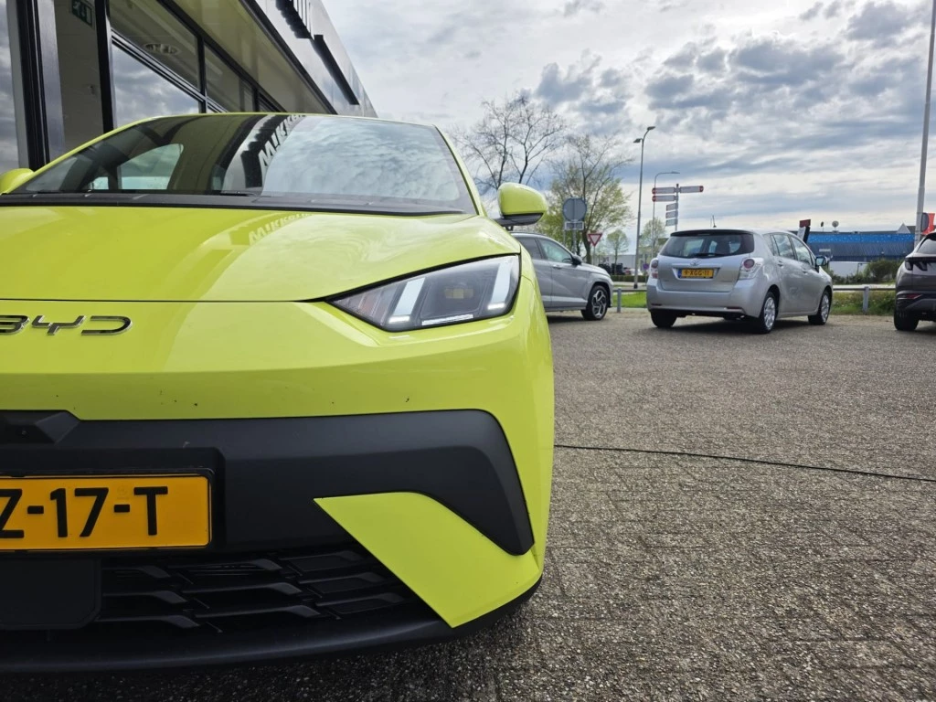 Hoofdafbeelding BYD DOLPHIN