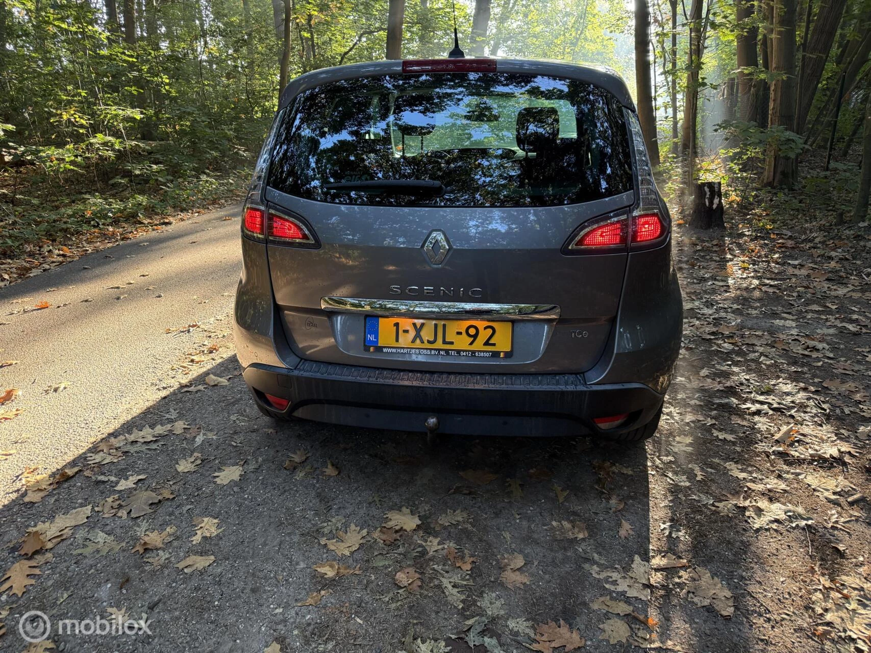 Hoofdafbeelding Renault Scénic