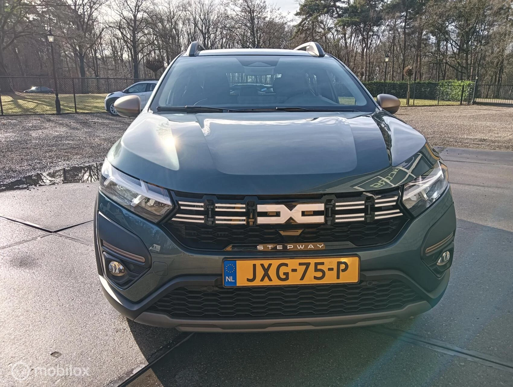 Hoofdafbeelding Dacia Sandero Stepway