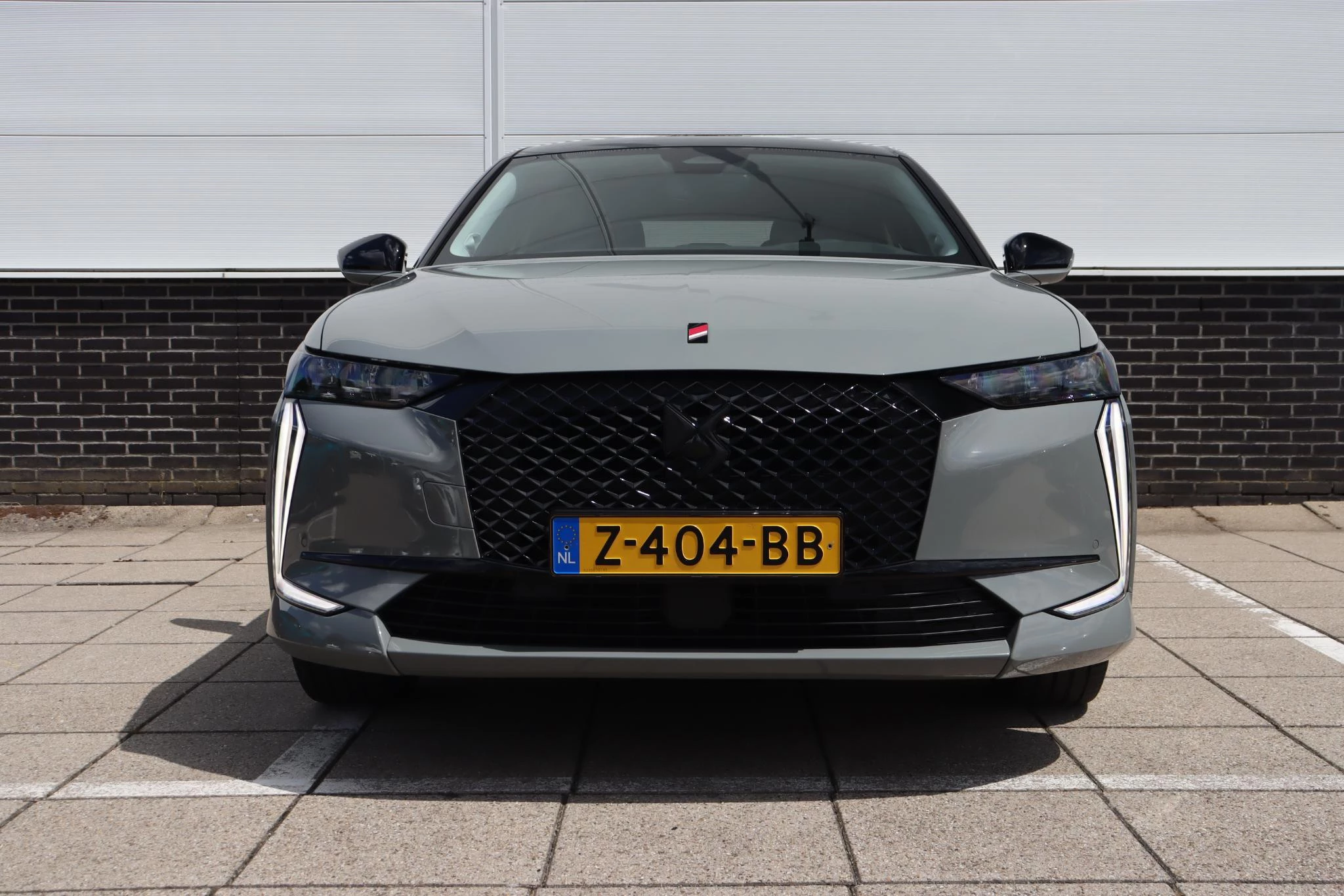 Hoofdafbeelding DS DS 4