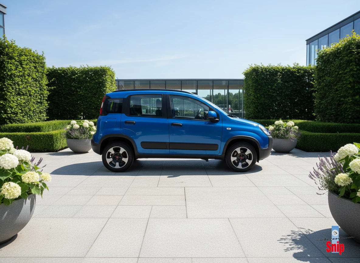 Hoofdafbeelding Fiat Panda