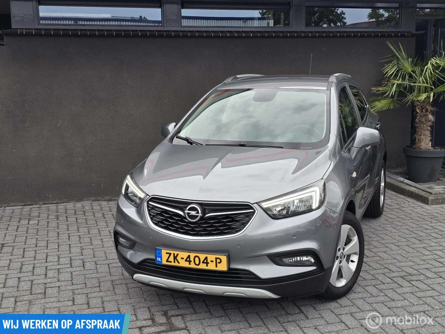 Hoofdafbeelding Opel Mokka X