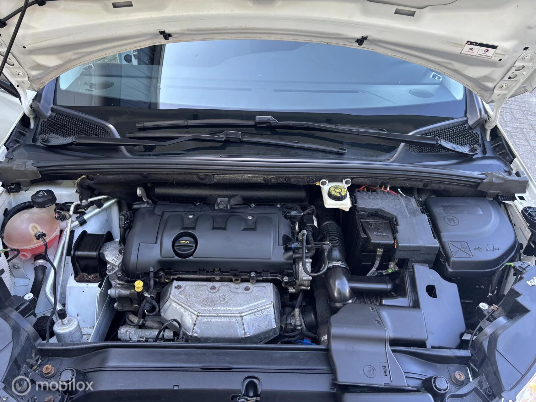 Hoofdafbeelding Citroën C4
