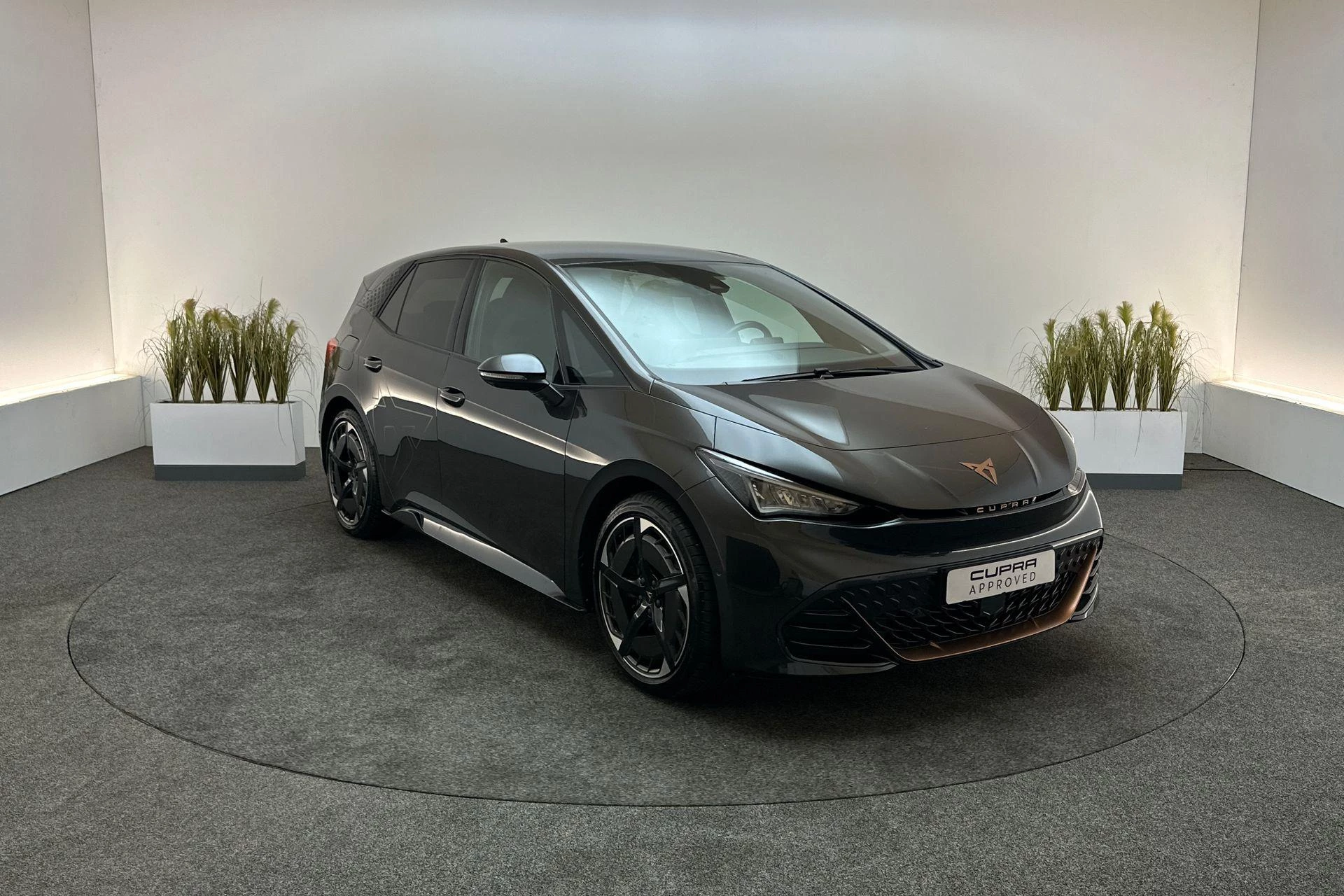 Hoofdafbeelding CUPRA Born