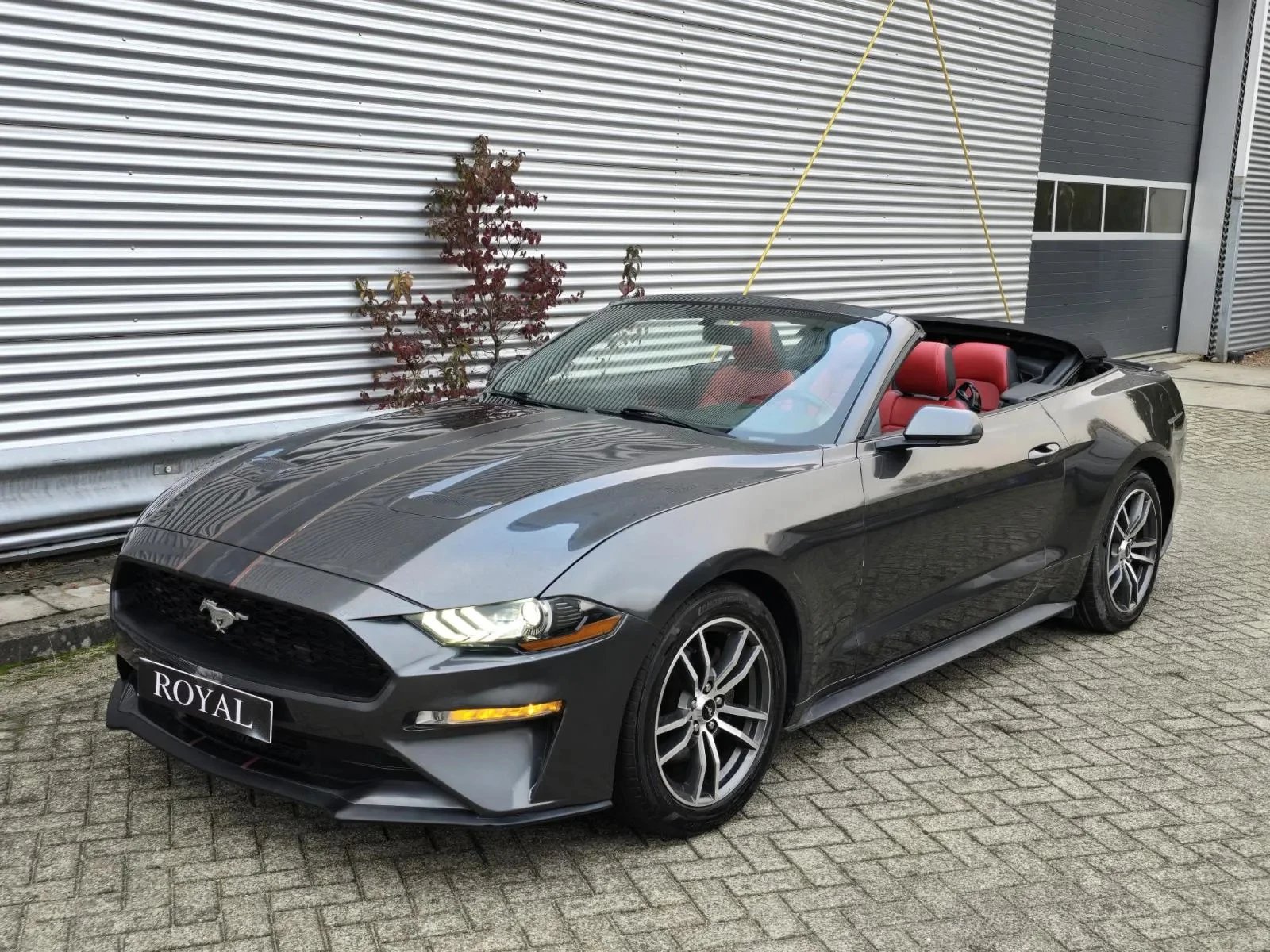 Hoofdafbeelding Ford Mustang