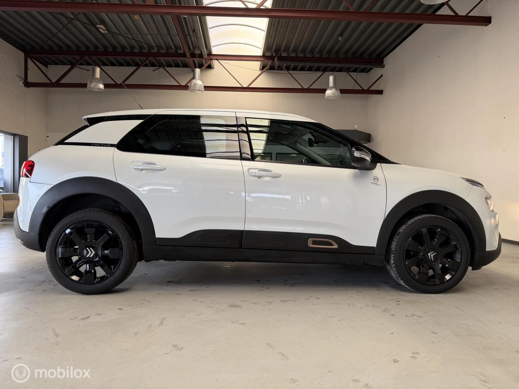 Hoofdafbeelding Citroën C4 Cactus