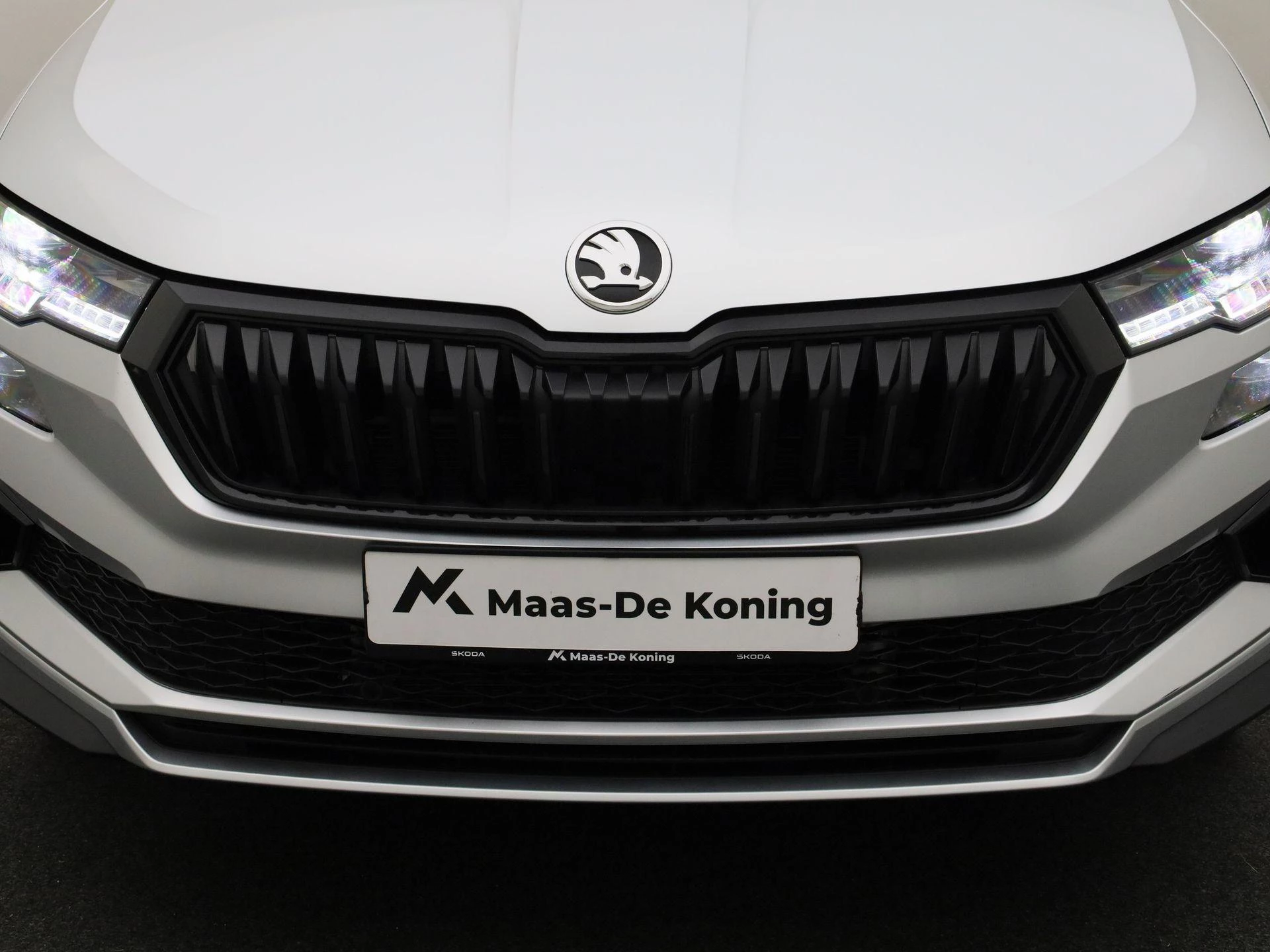 Hoofdafbeelding Škoda Karoq