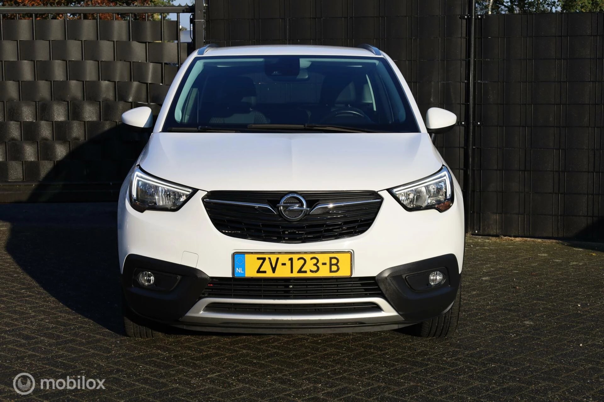 Hoofdafbeelding Opel Crossland X