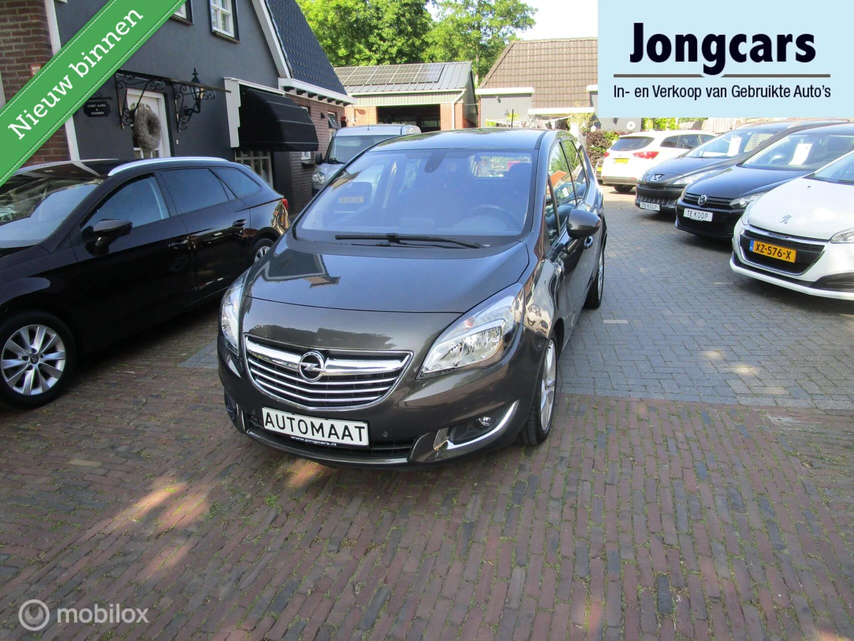 Hoofdafbeelding Opel Meriva