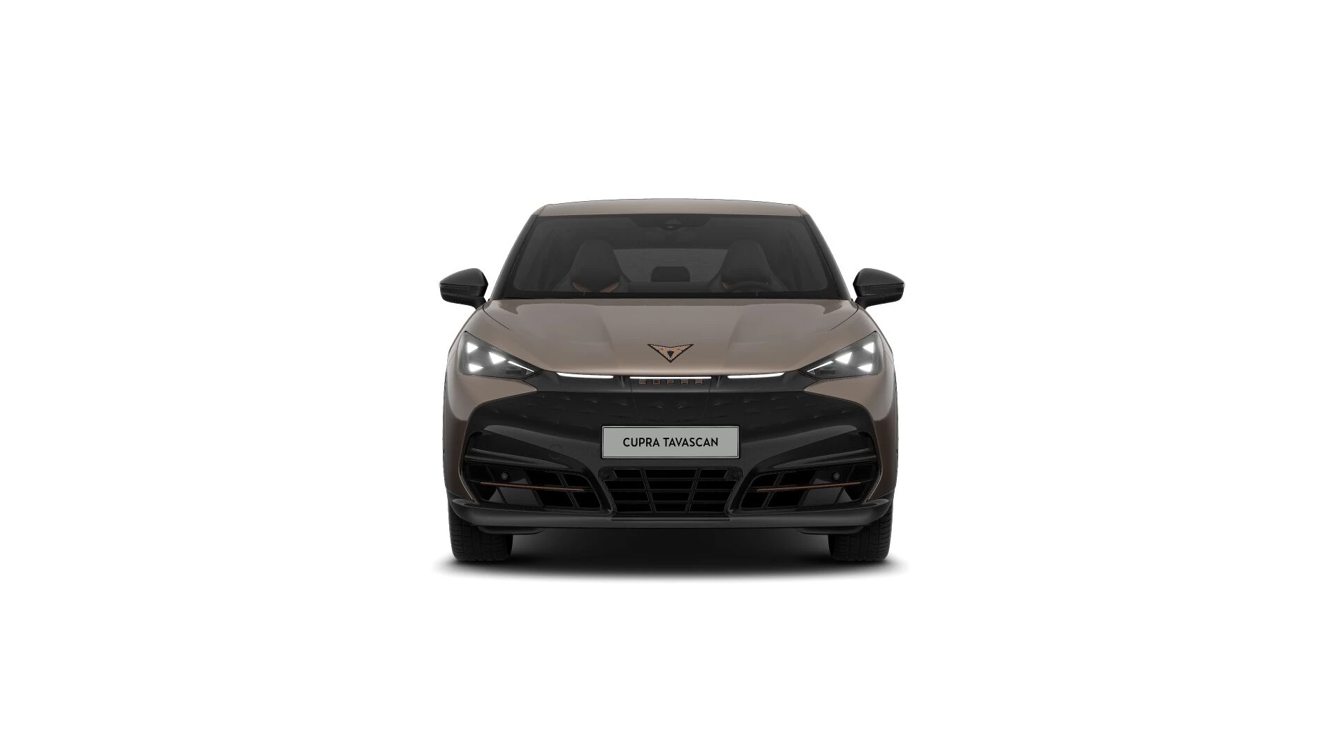 Hoofdafbeelding CUPRA Tavascan