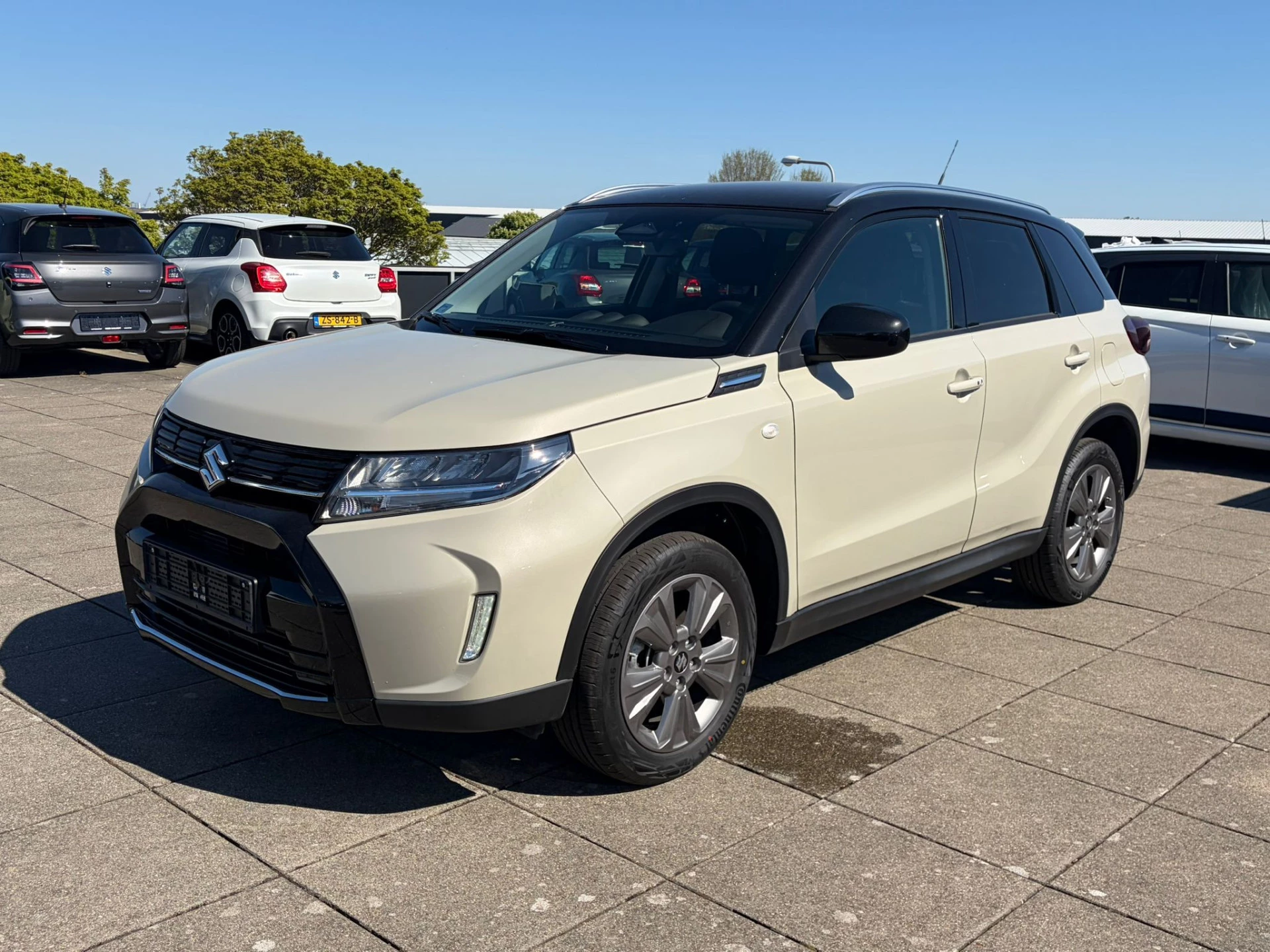 Hoofdafbeelding Suzuki Vitara