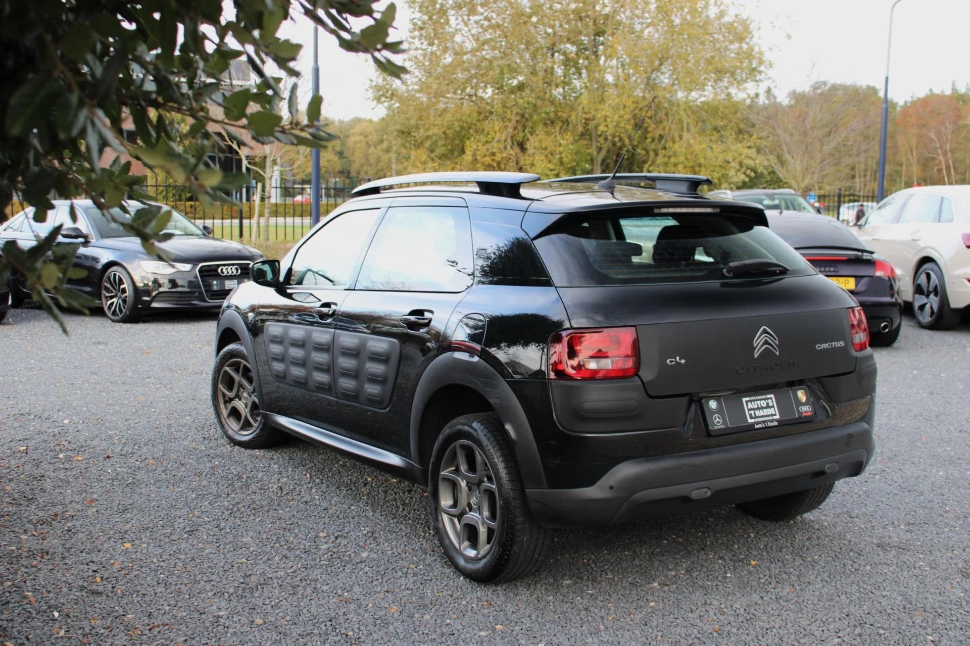 Hoofdafbeelding Citroën C4 Cactus