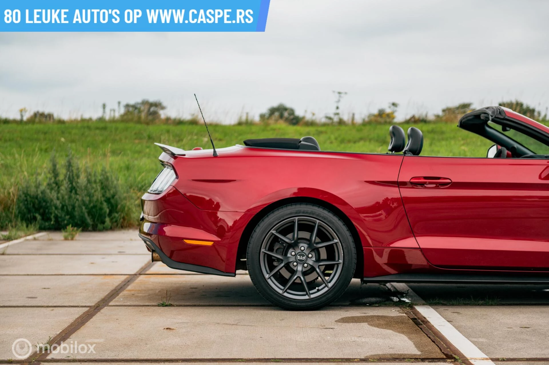 Hoofdafbeelding Ford Mustang