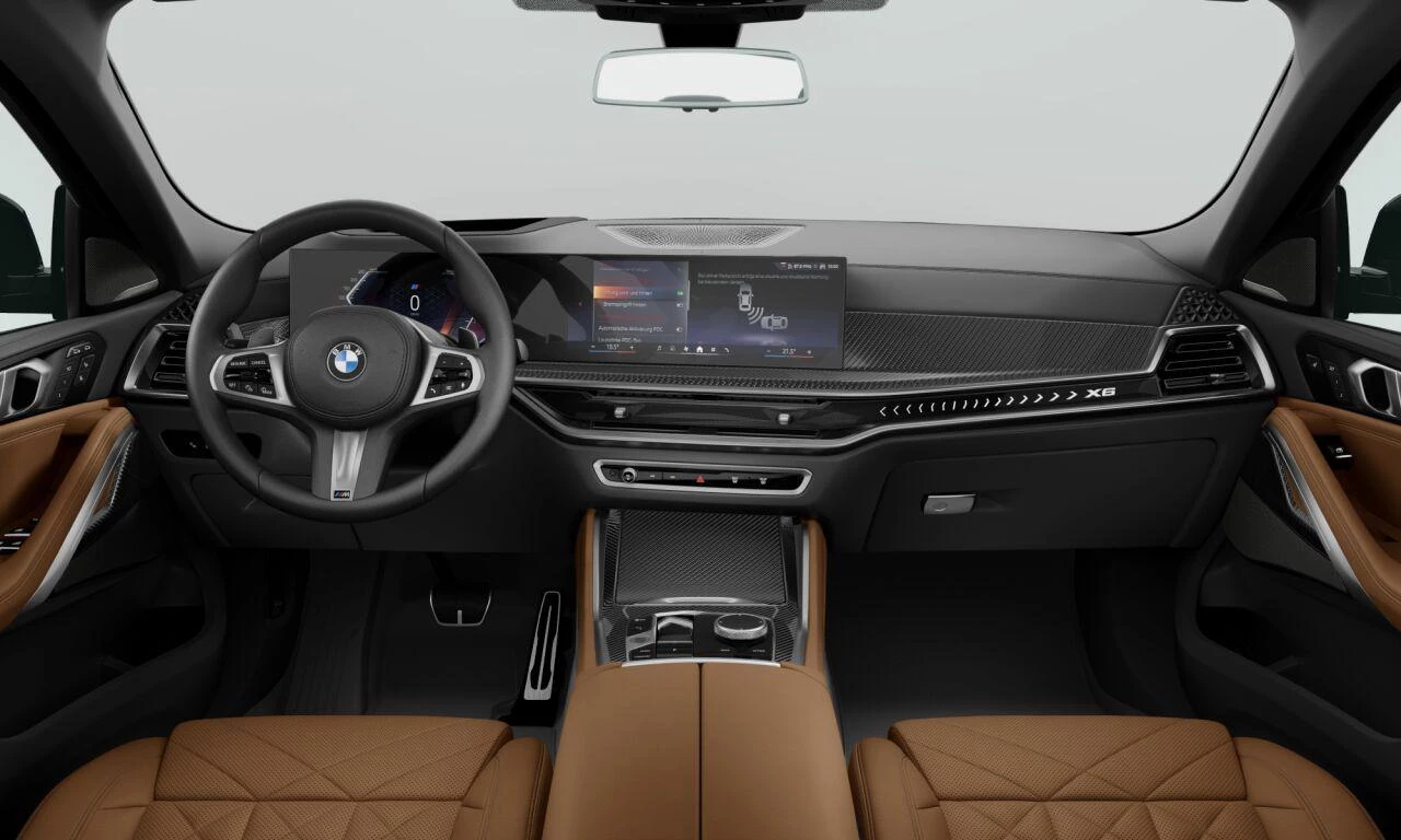 Hoofdafbeelding BMW X6