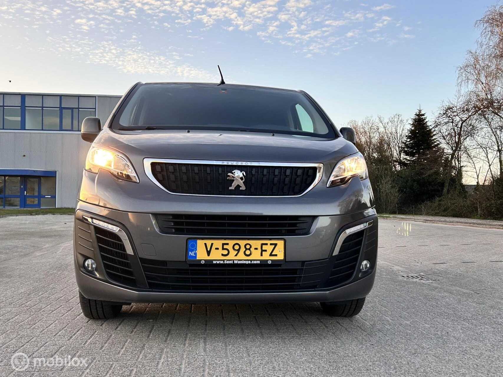 Hoofdafbeelding Peugeot Expert