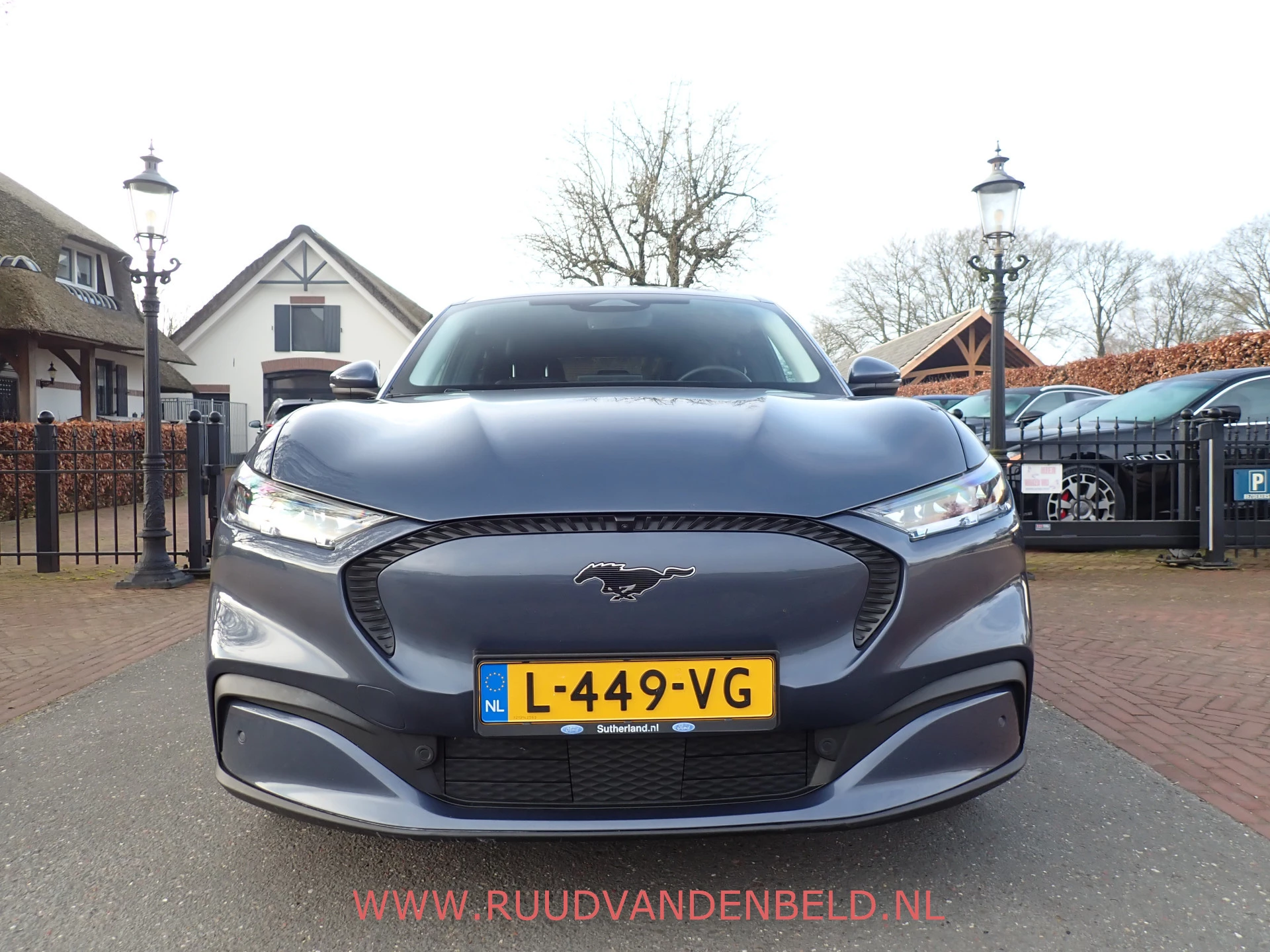 Hoofdafbeelding Ford Mustang Mach-E