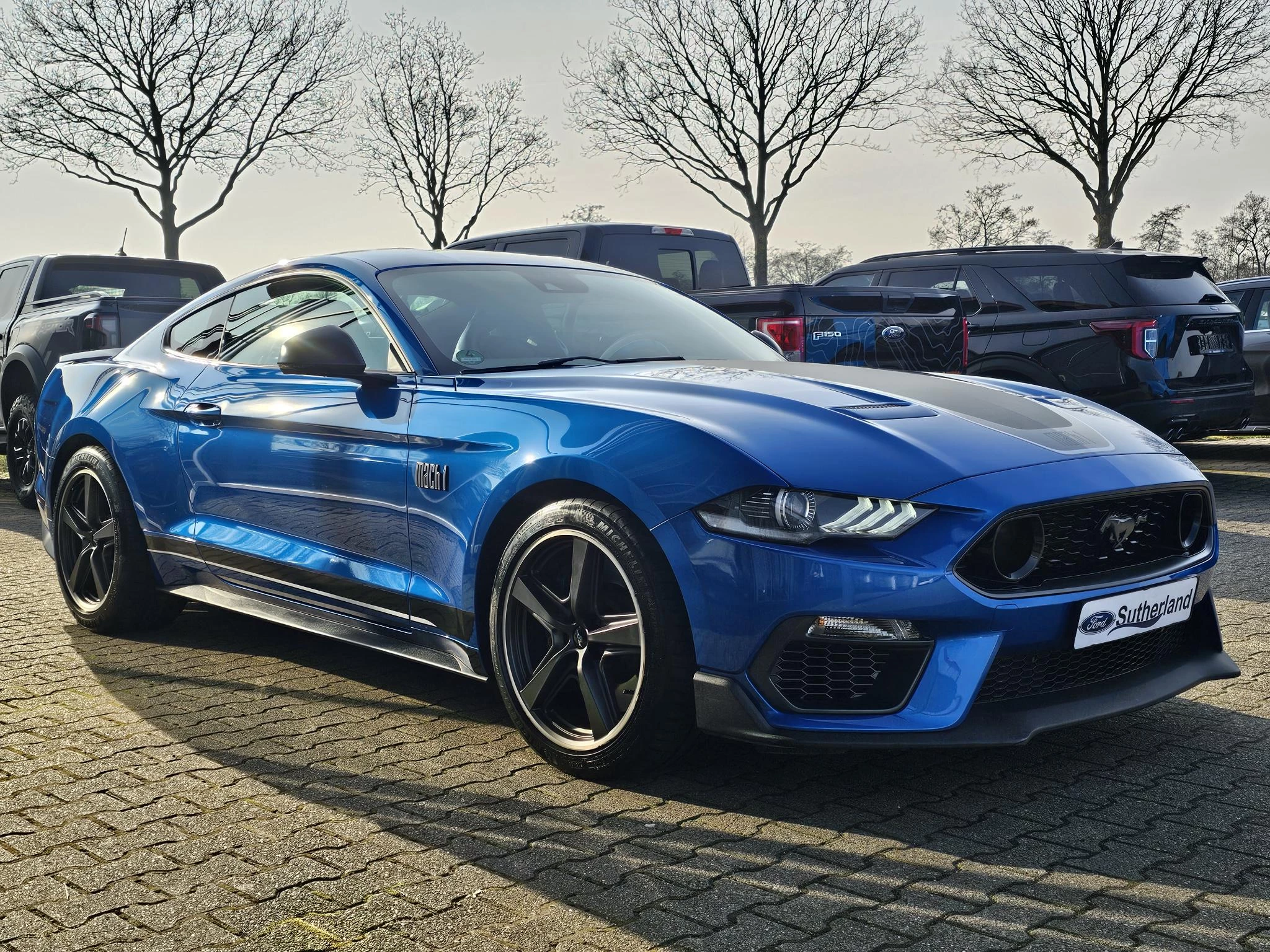 Hoofdafbeelding Ford Mustang