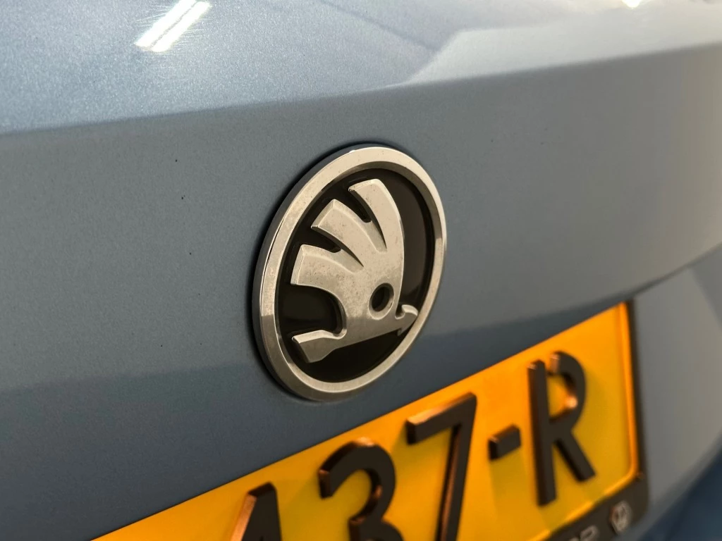 Hoofdafbeelding Škoda Fabia