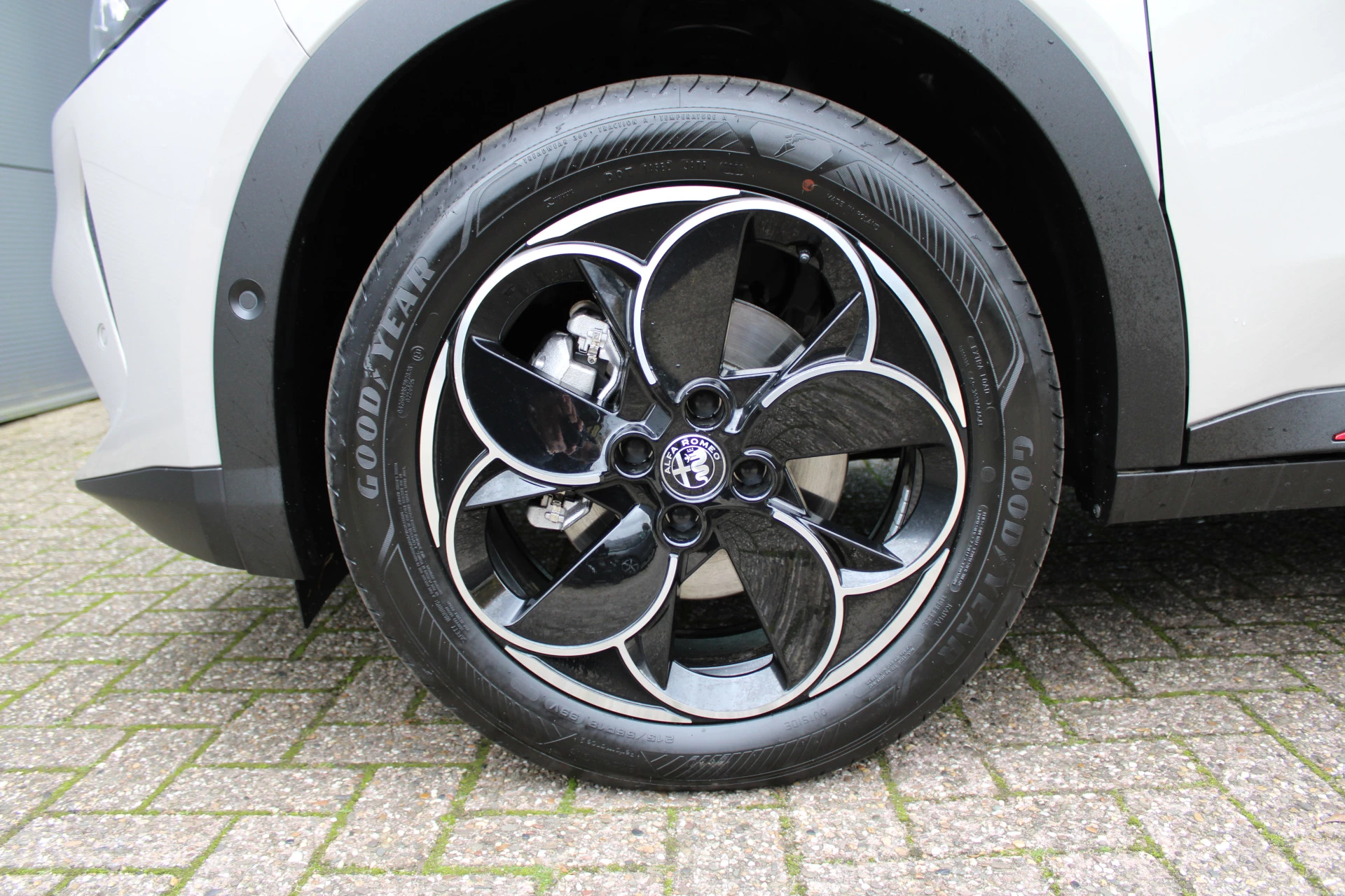 Hoofdafbeelding Alfa Romeo Junior