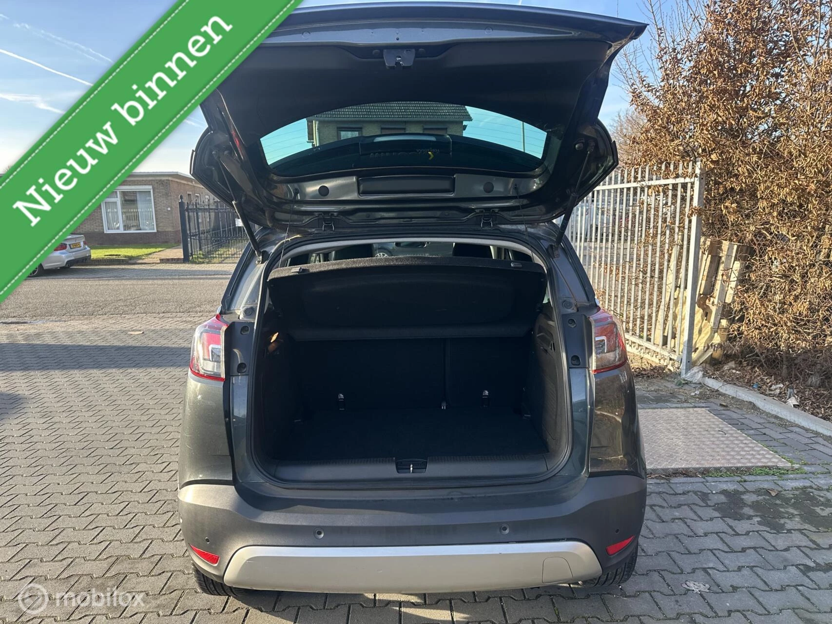 Hoofdafbeelding Opel Crossland X
