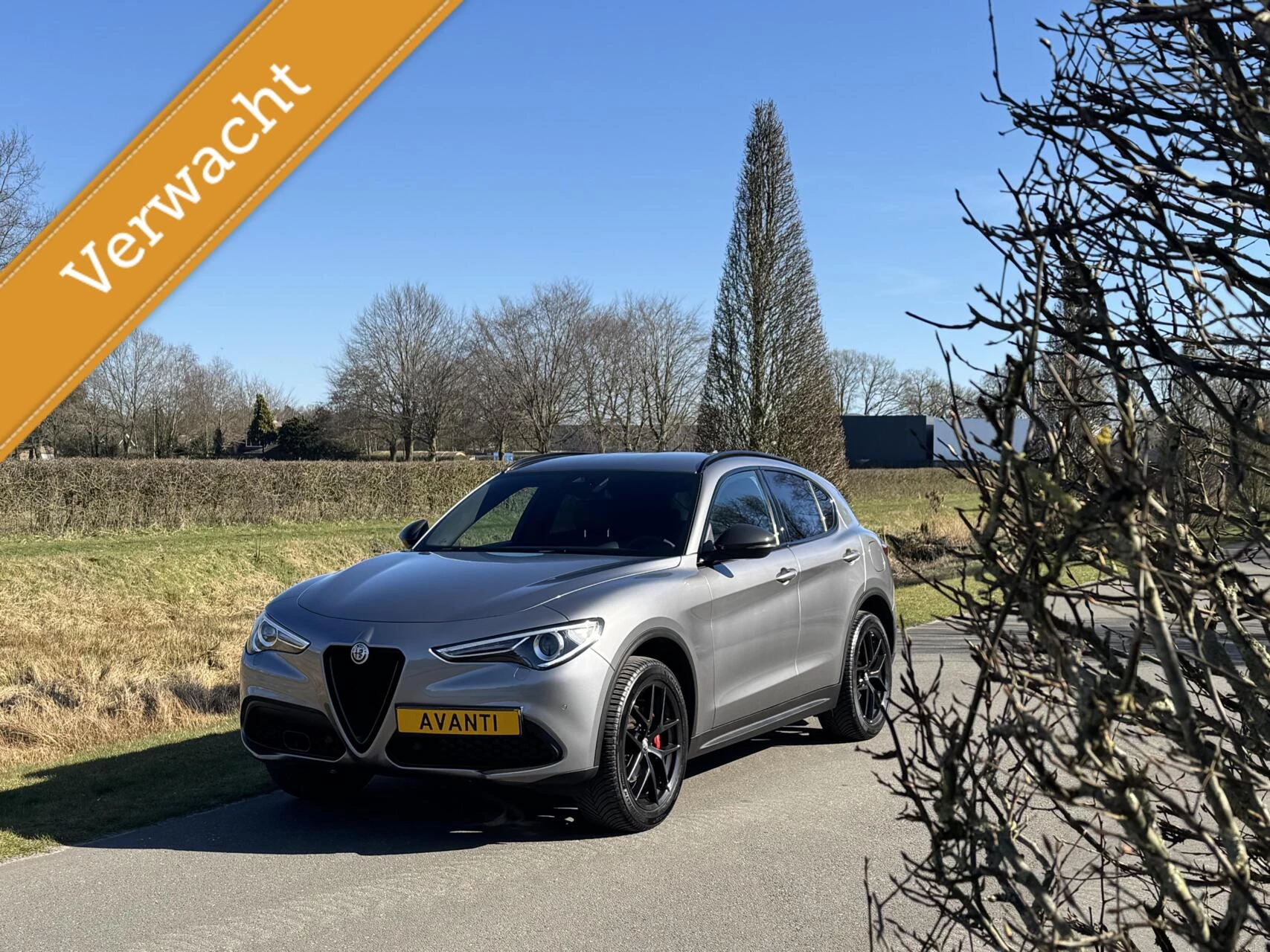 Hoofdafbeelding Alfa Romeo Stelvio