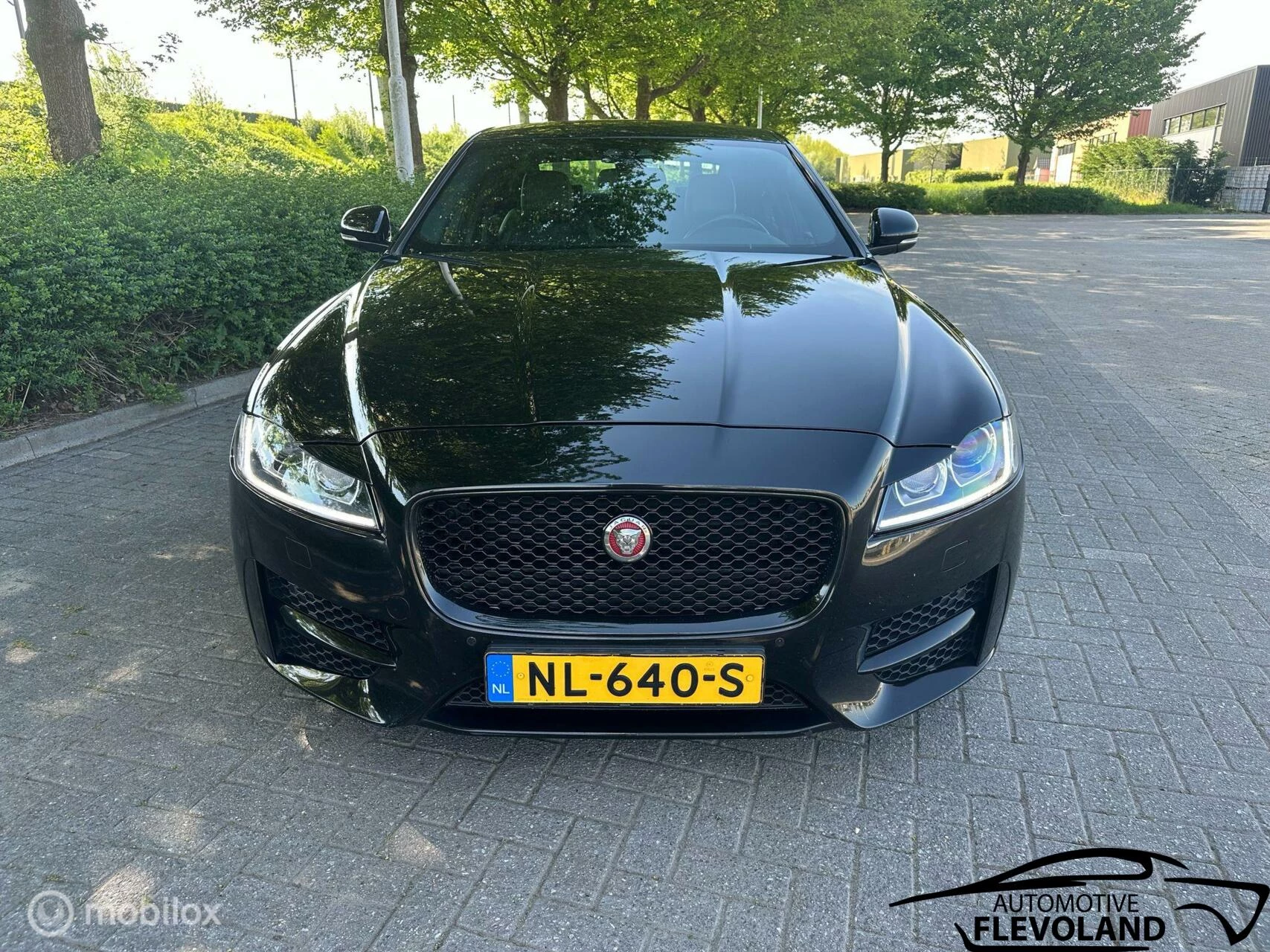 Hoofdafbeelding Jaguar XF