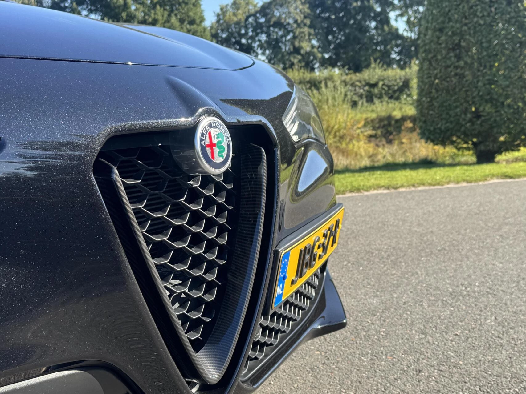 Hoofdafbeelding Alfa Romeo Stelvio
