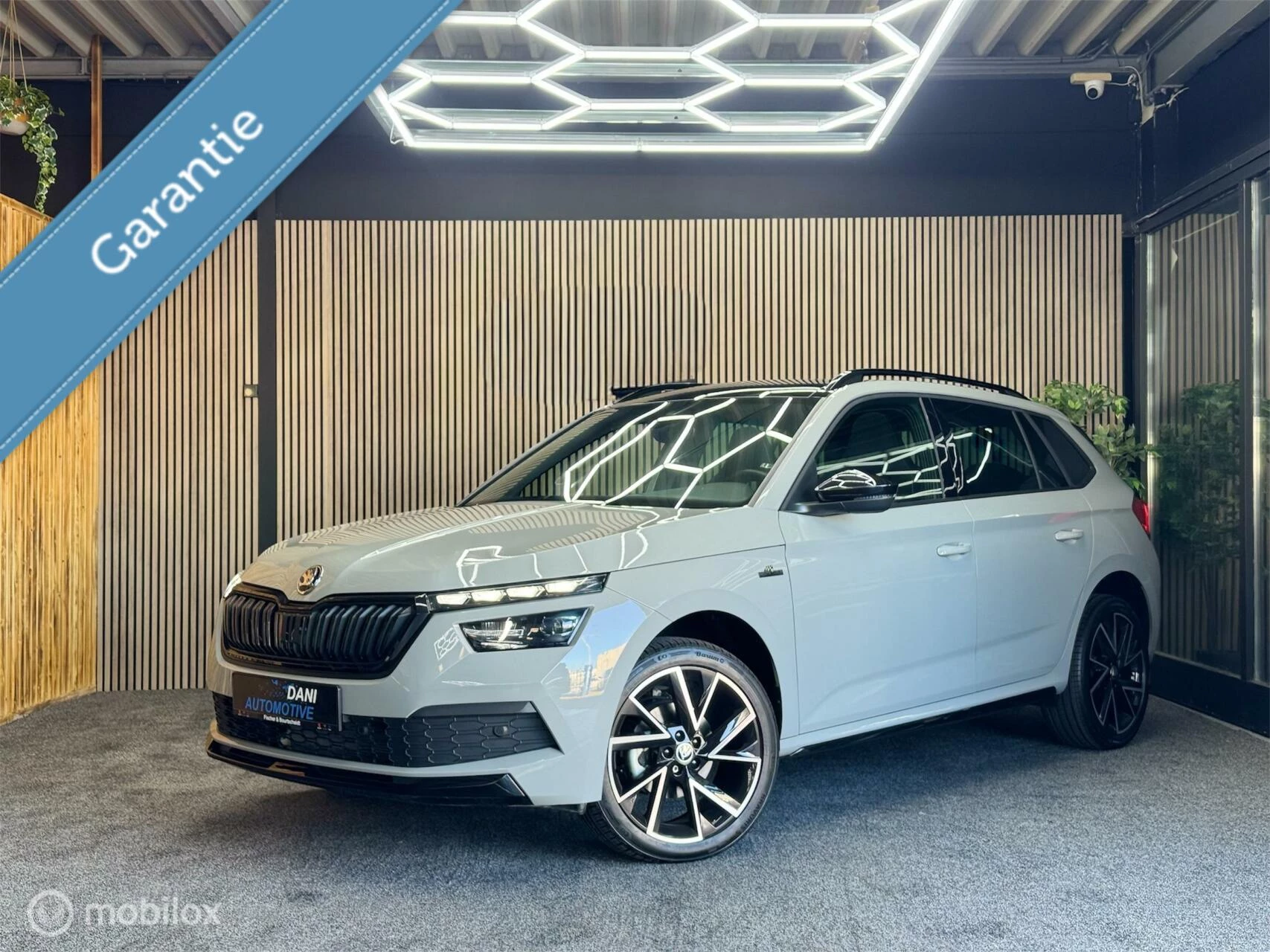 Hoofdafbeelding Škoda Kamiq