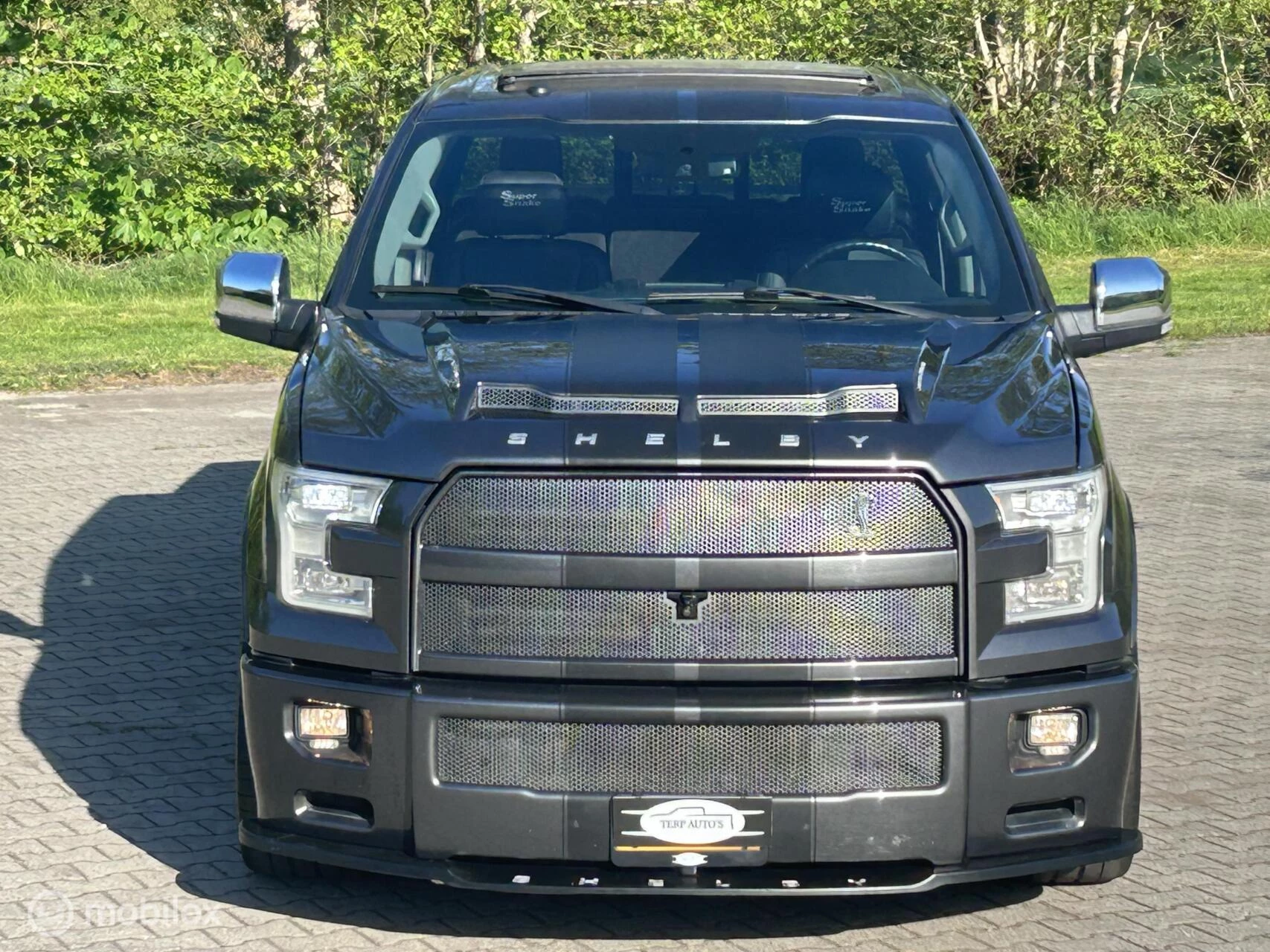 Hoofdafbeelding Ford F-150