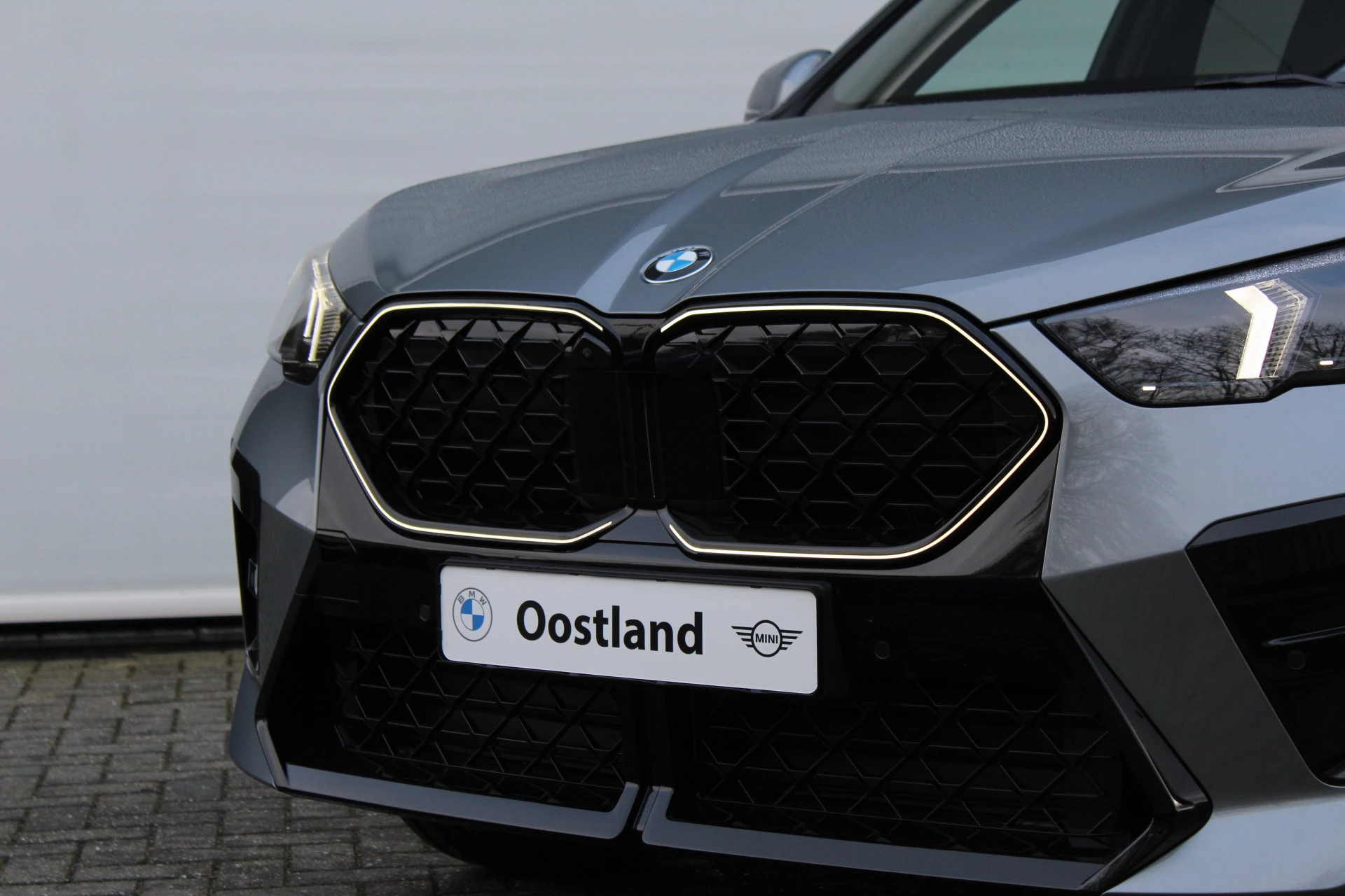 Hoofdafbeelding BMW X2