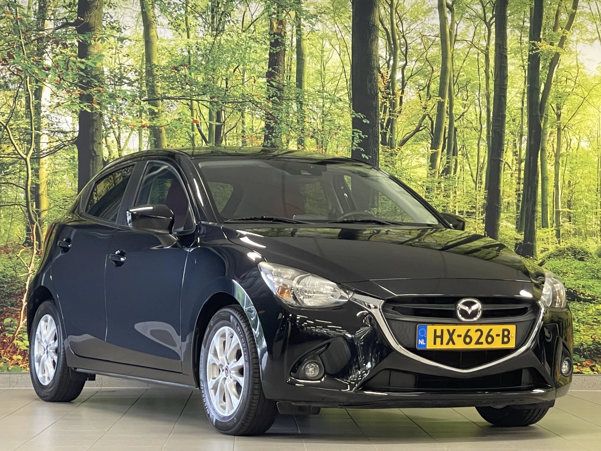 Hoofdafbeelding Mazda 2