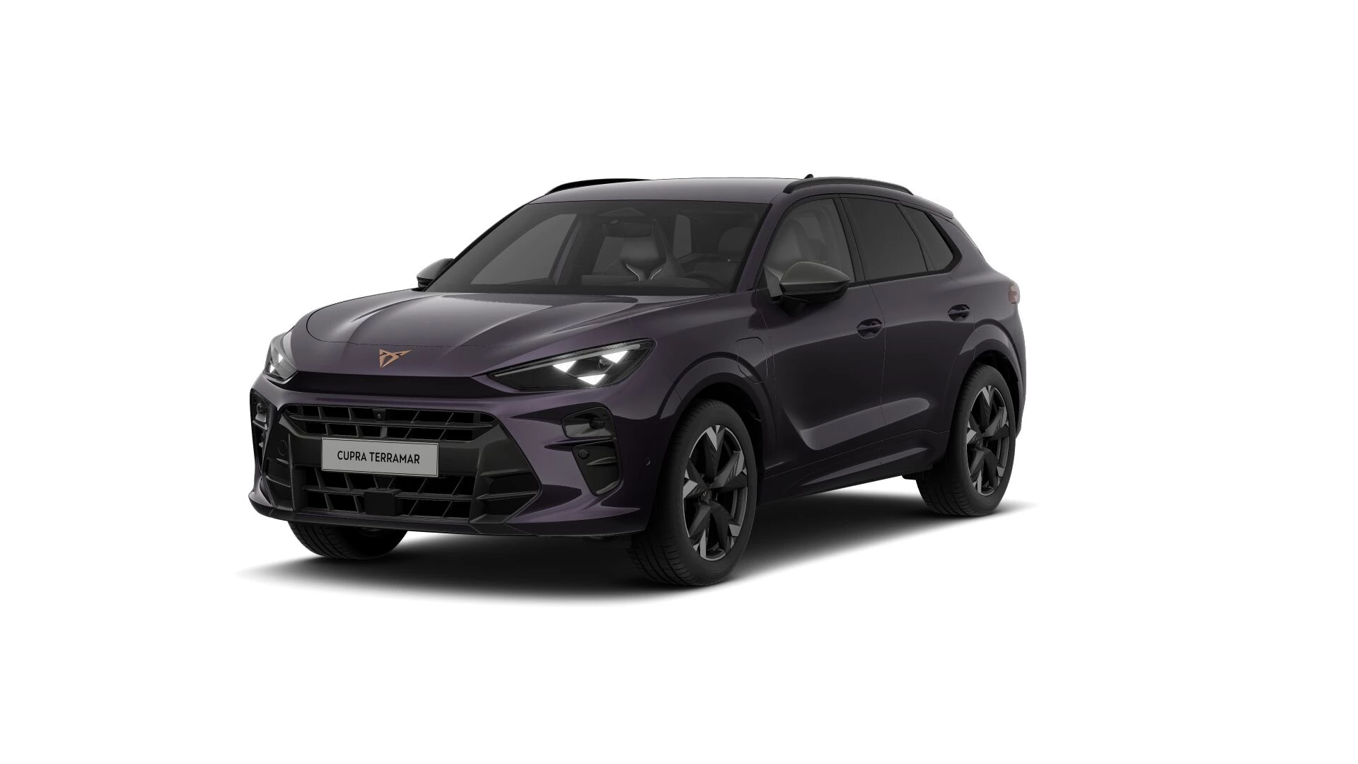 Hoofdafbeelding CUPRA Terramar