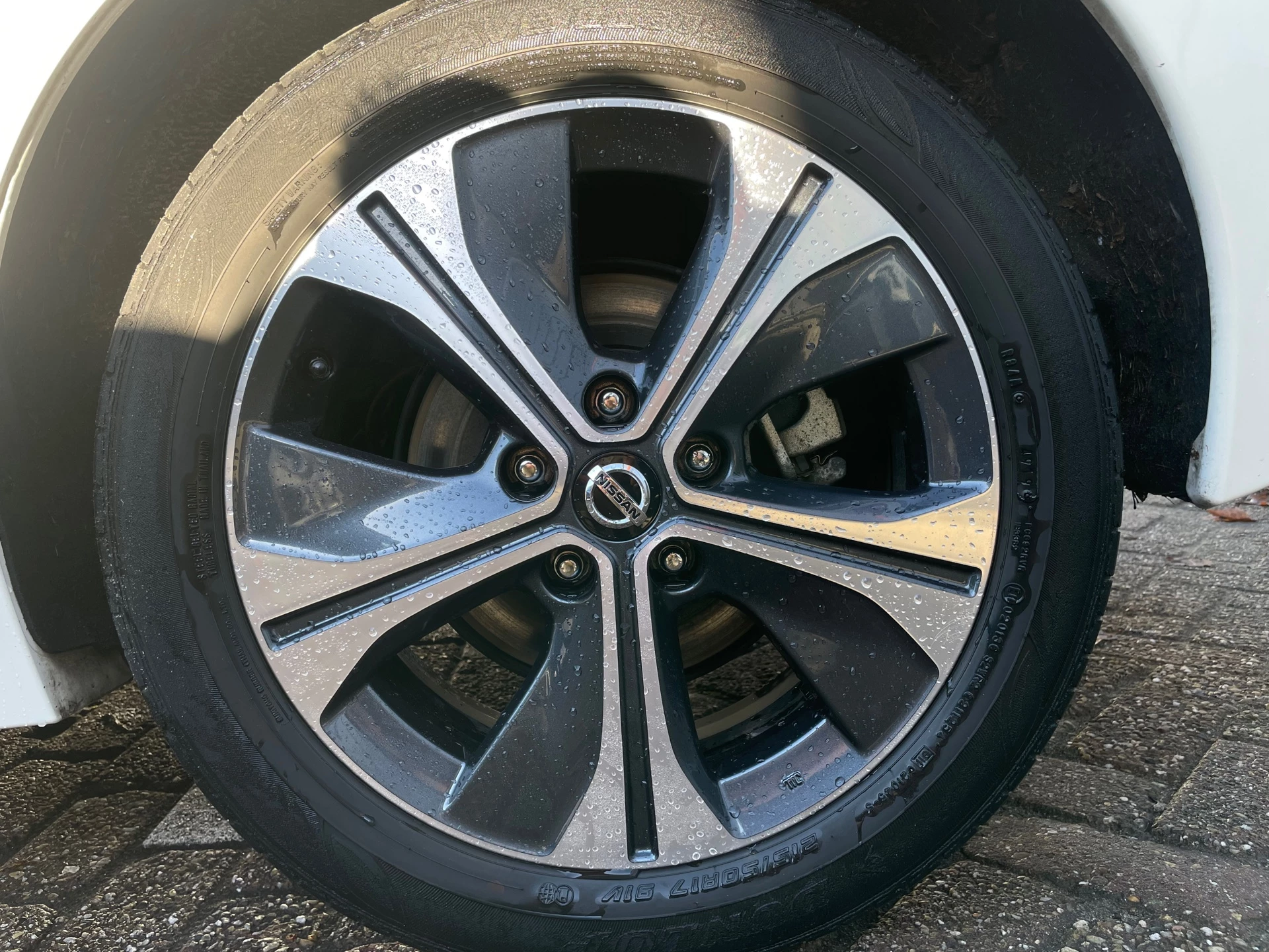 Hoofdafbeelding Nissan Leaf