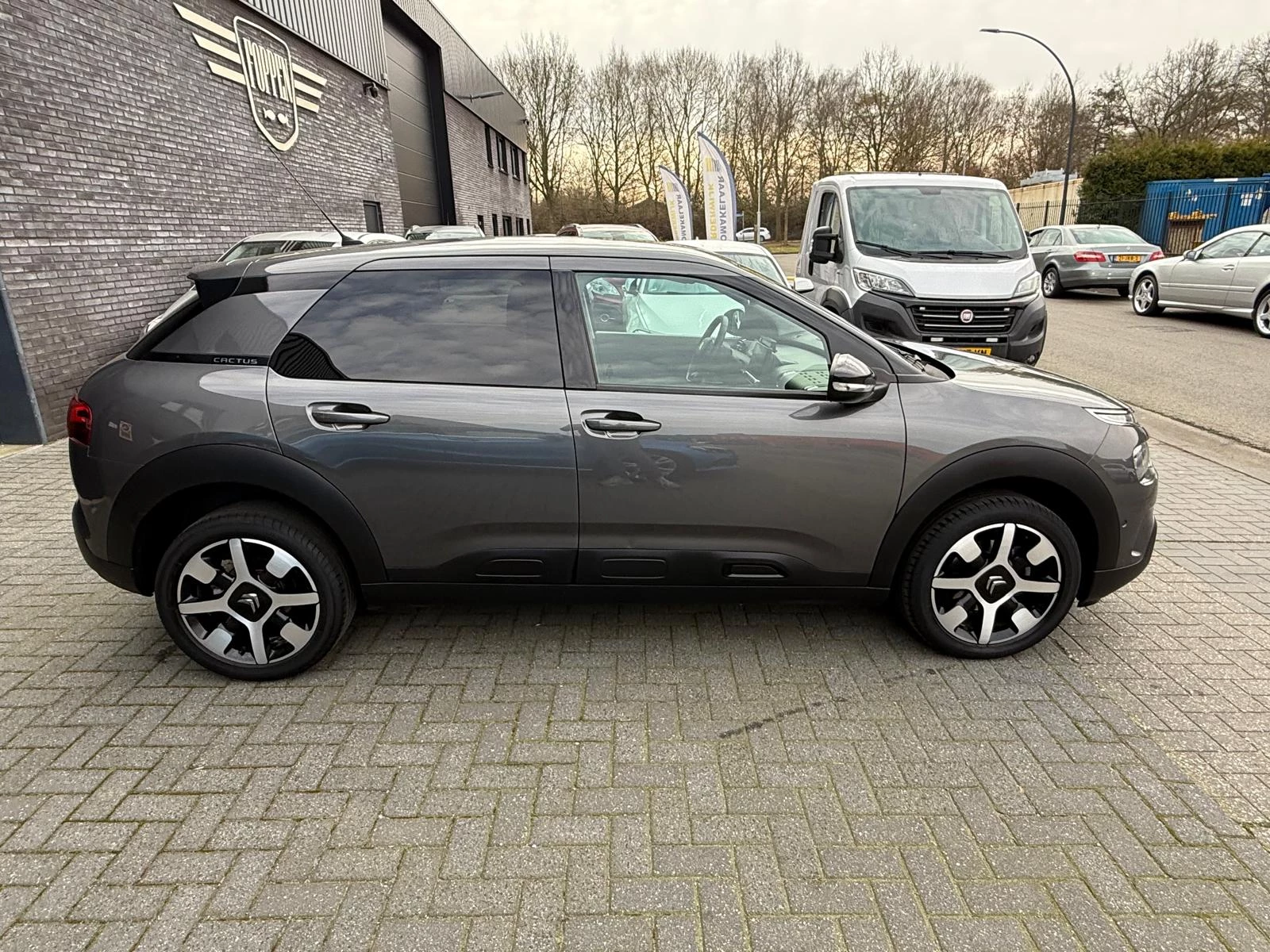 Hoofdafbeelding Citroën C4 Cactus