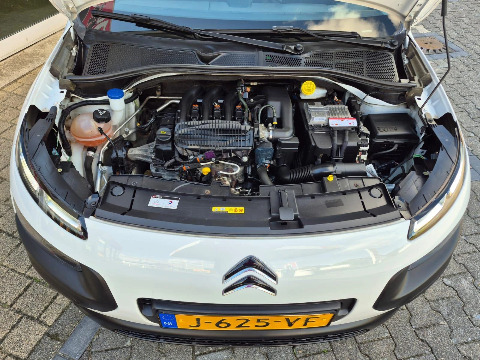 Hoofdafbeelding Citroën C4 Cactus