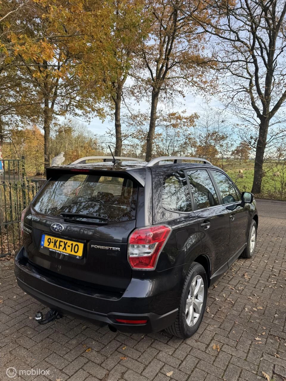 Hoofdafbeelding Subaru Forester