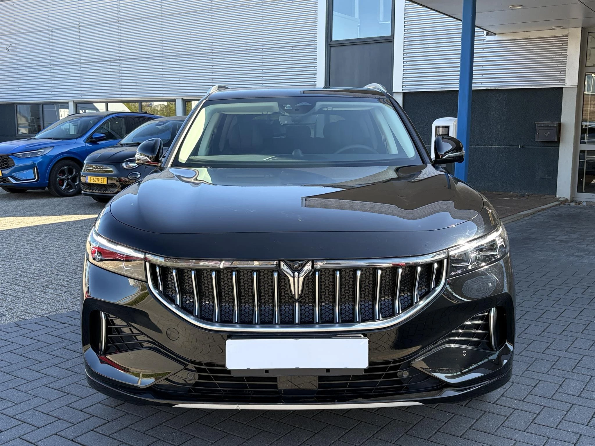 Hoofdafbeelding Voyah Free